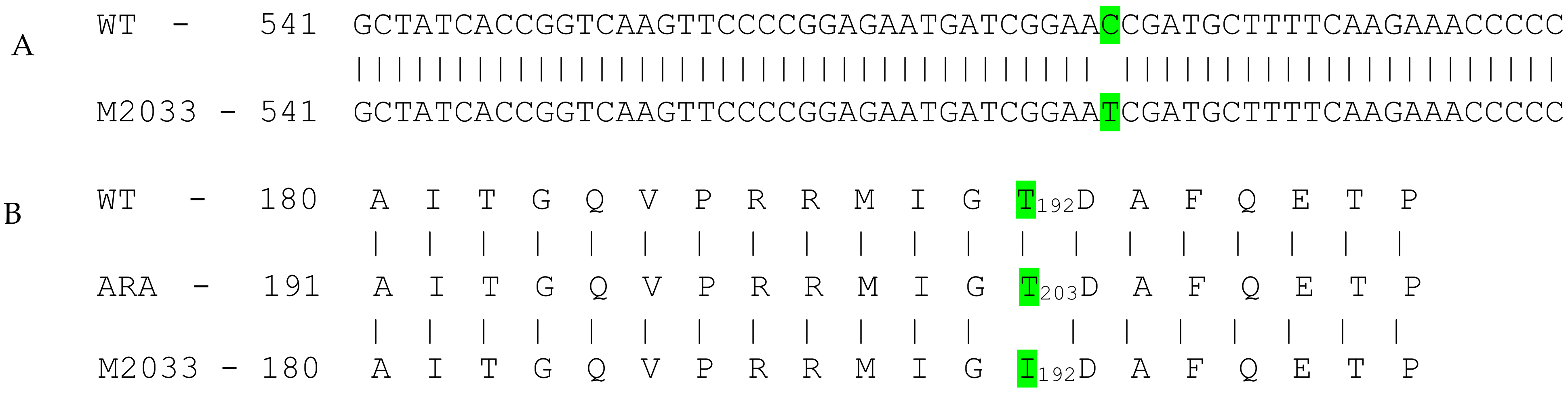 Plants 10 02791 g002