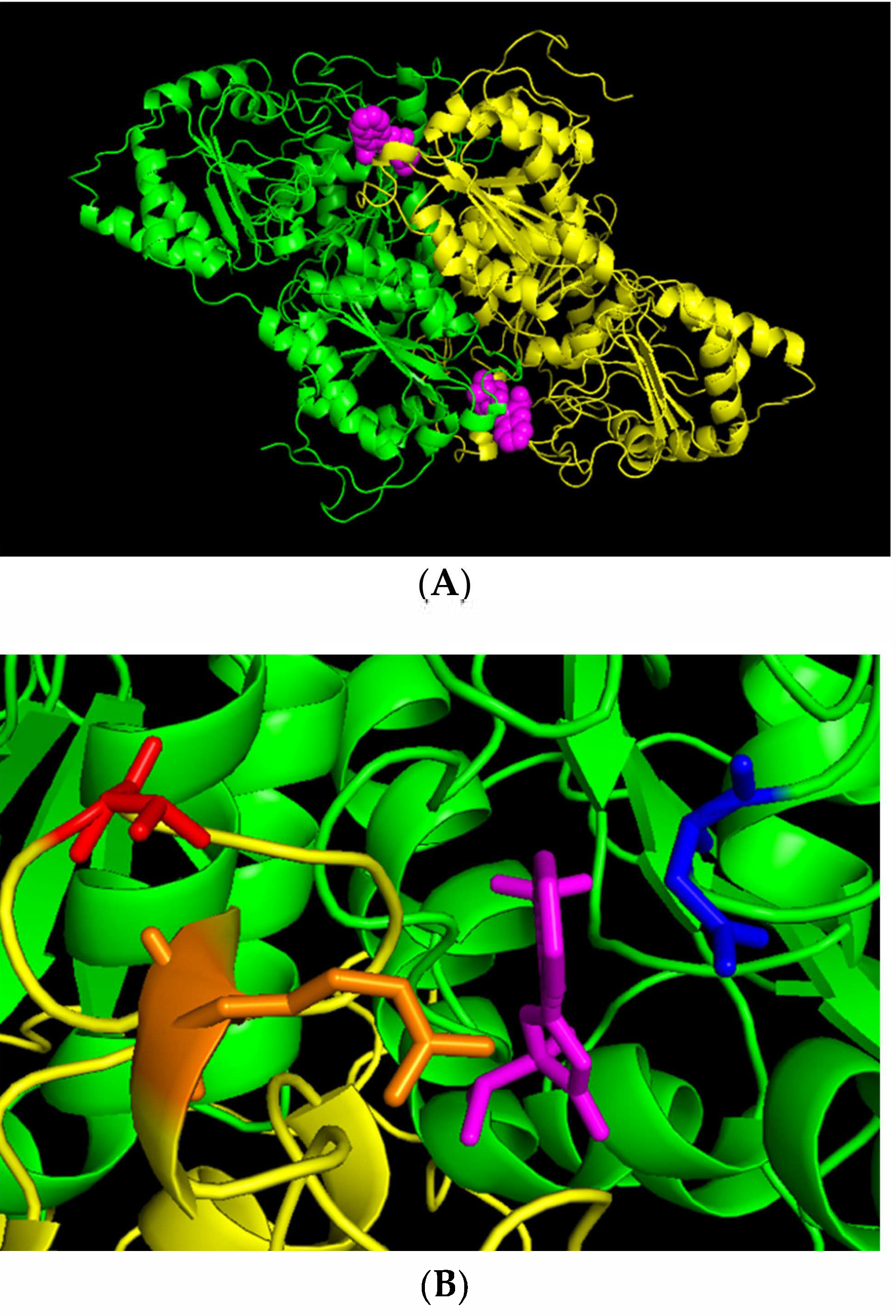 Plants 10 02791 g005