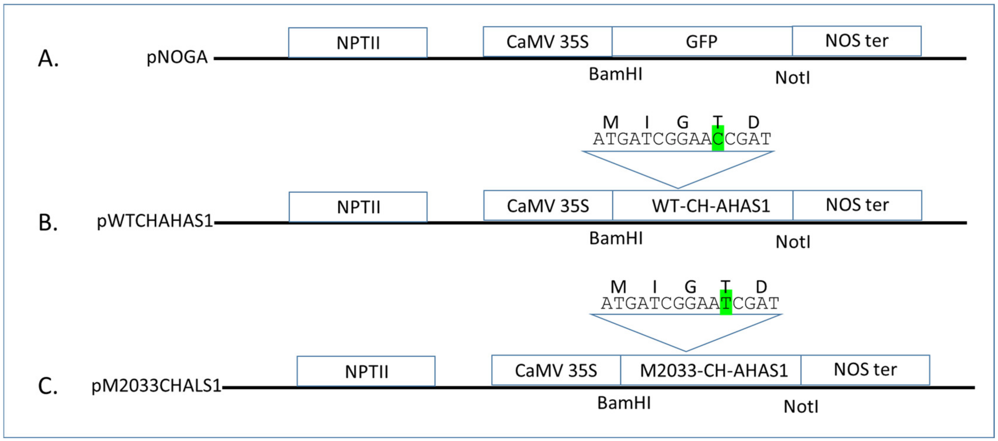 Plants 10 02791 g008