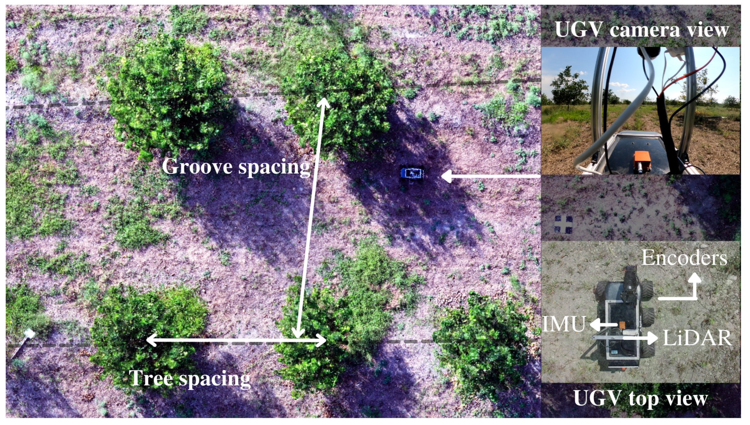 Plants 10 02804 g008