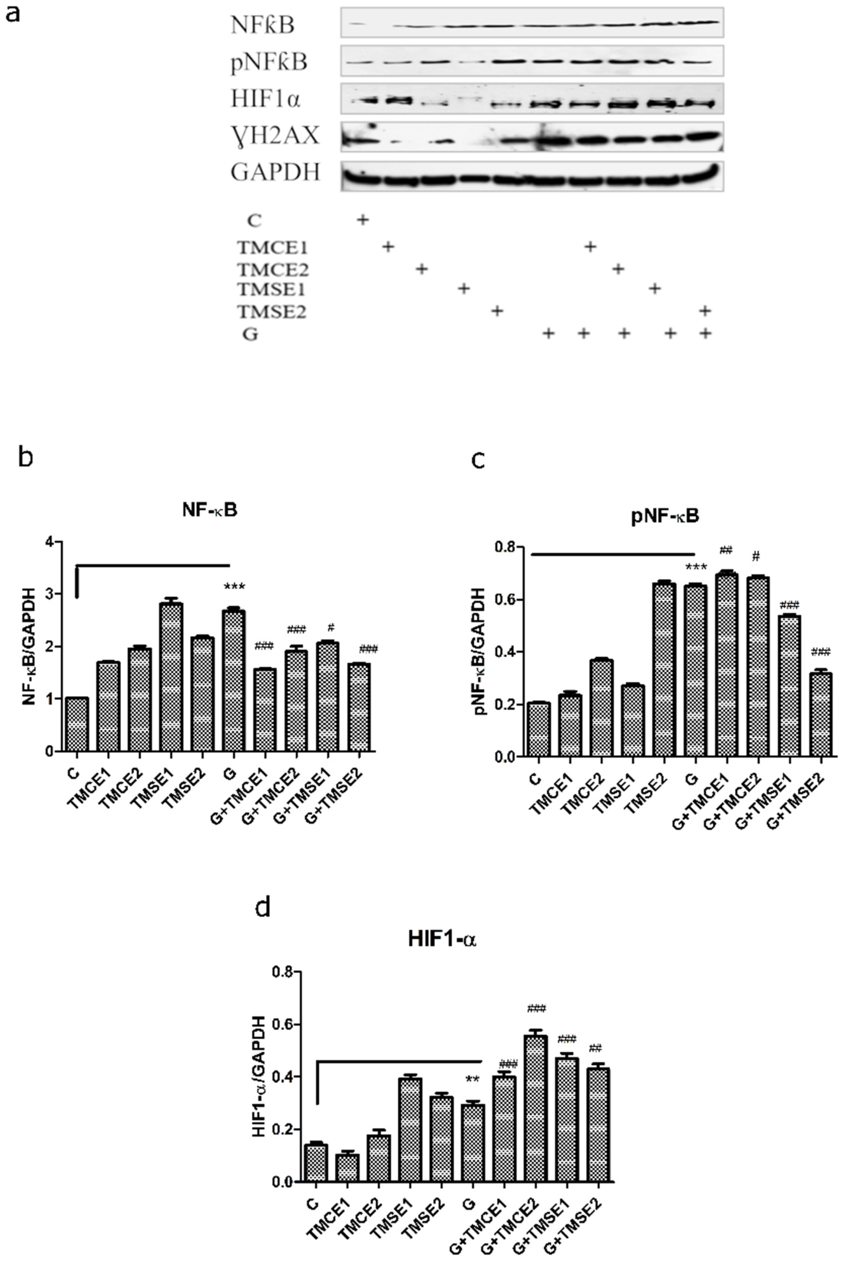 Plants 10 02810 g004