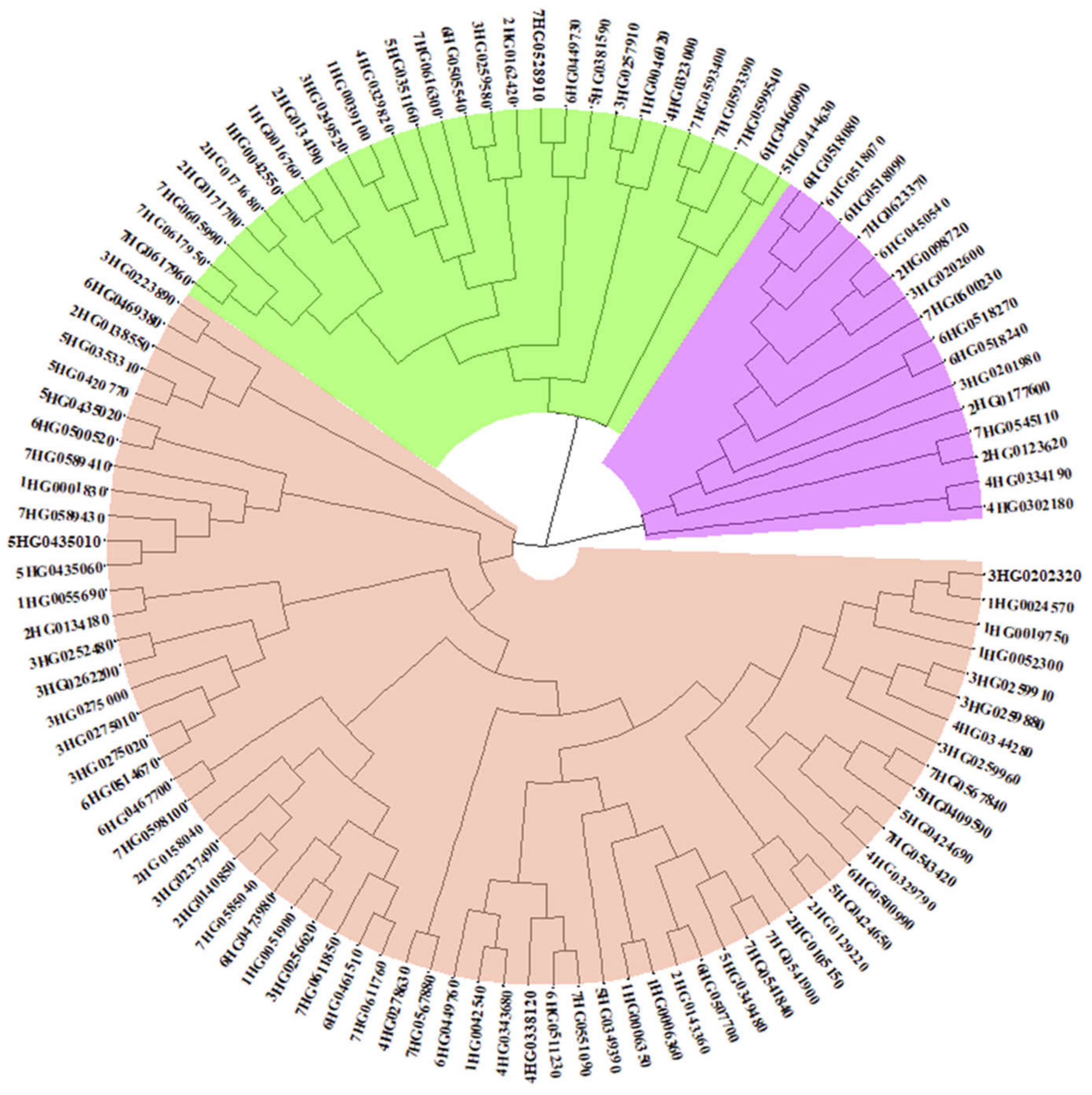 Plants 10 02825 g003
