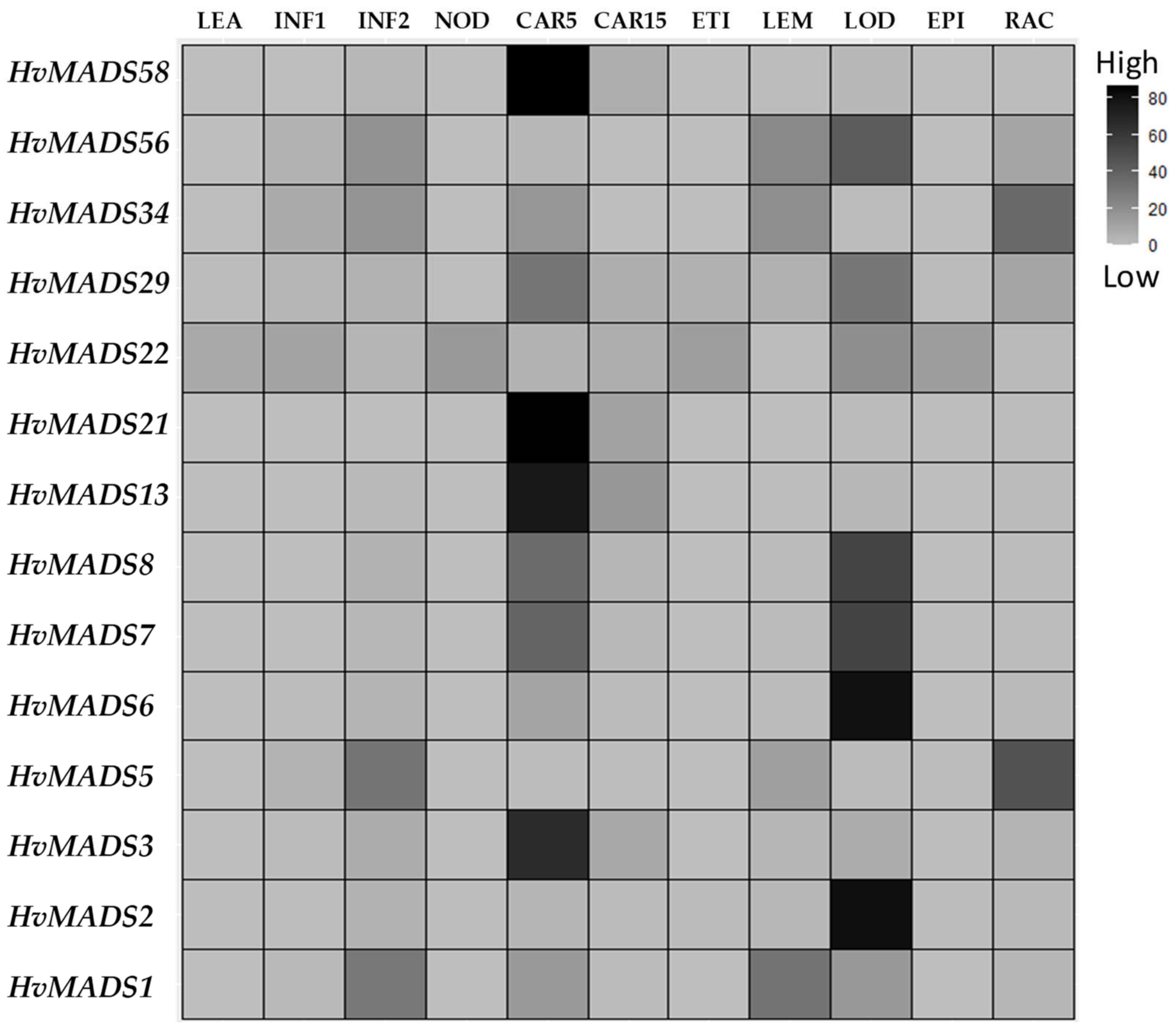Plants 10 02825 g004