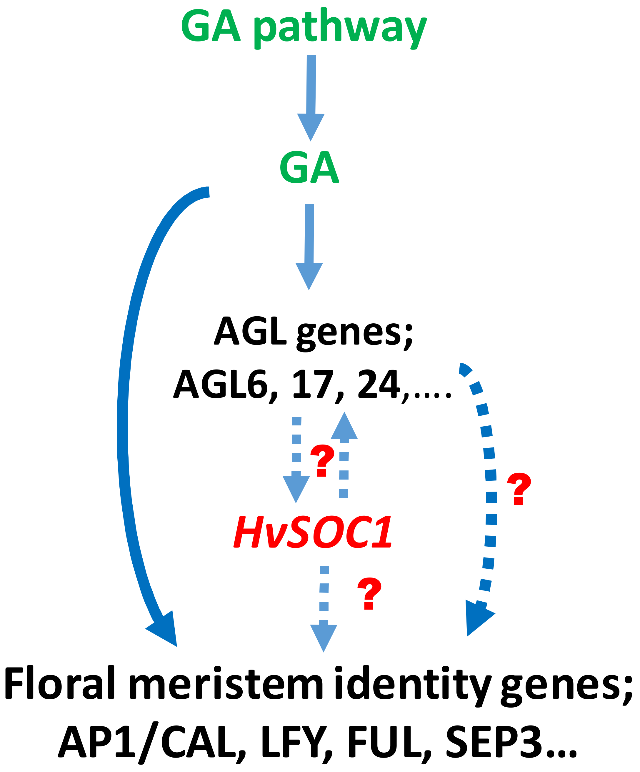 Plants 10 02825 g005