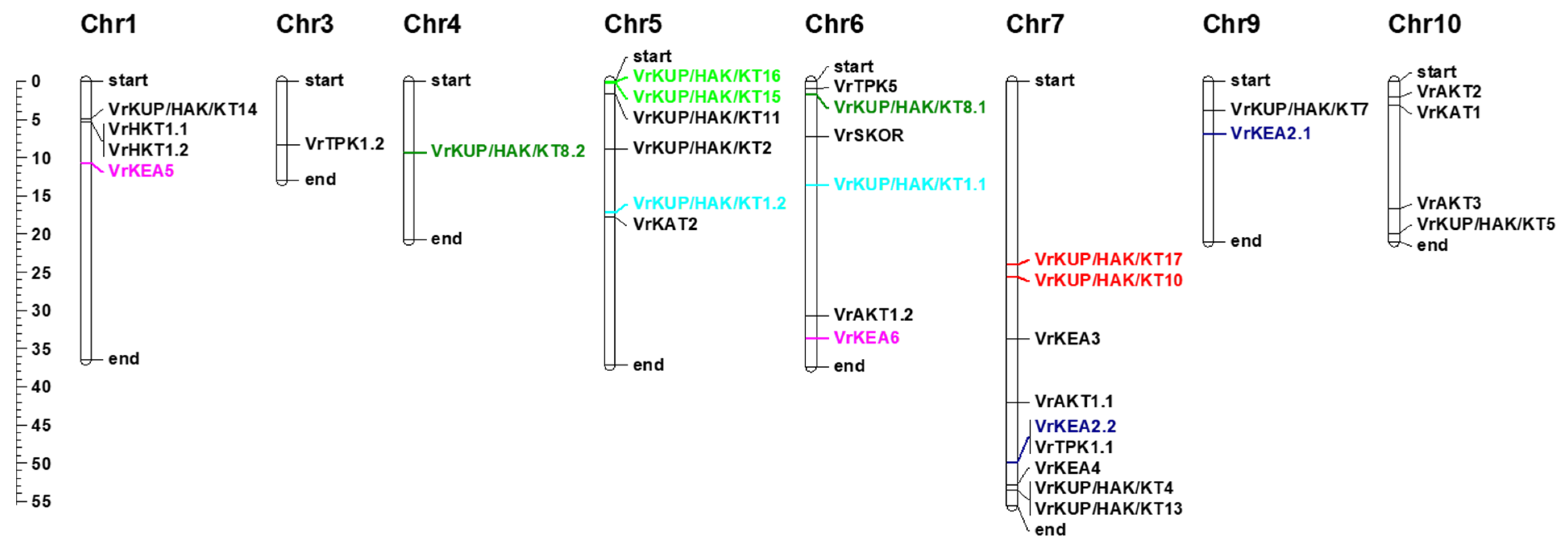 Plants 11 00002 g003