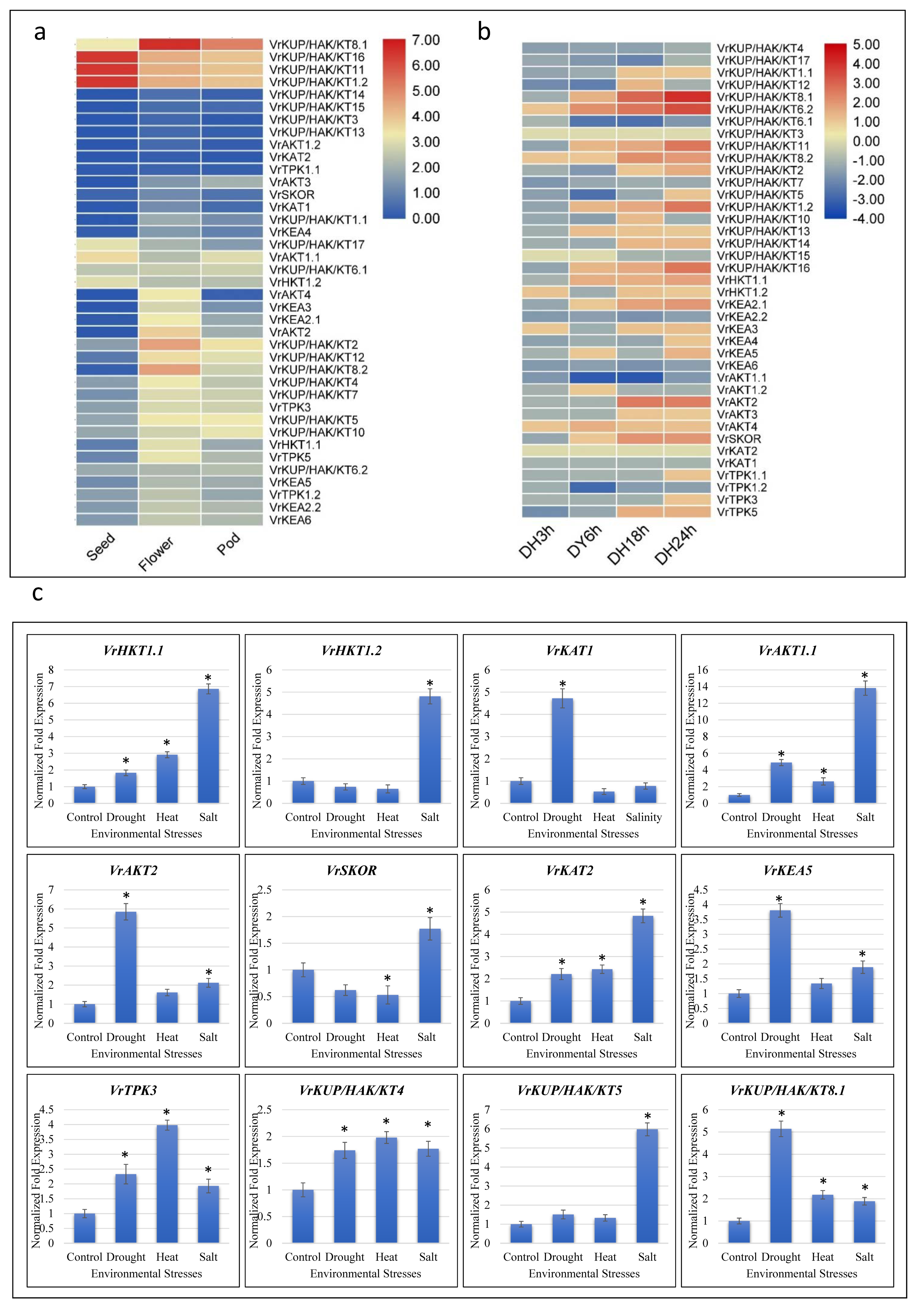 Plants 11 00002 g005