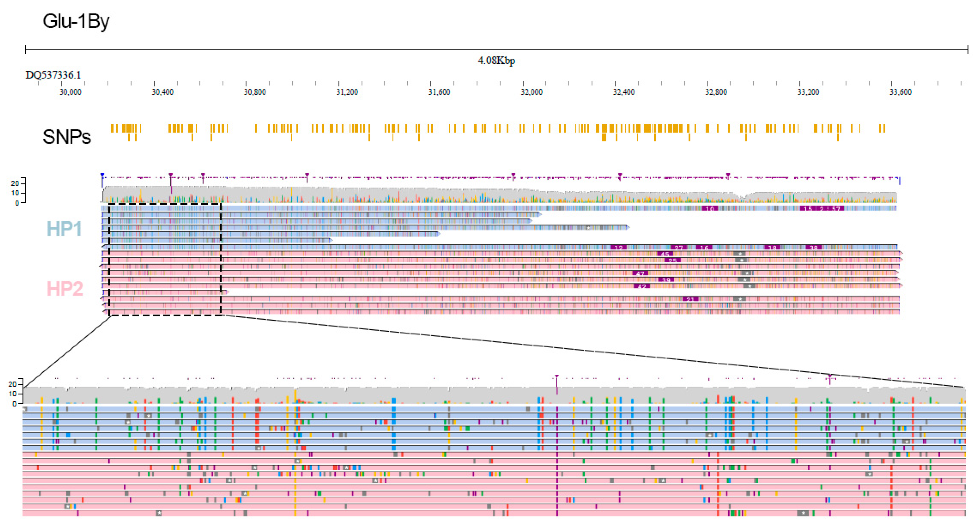 Plants 11 00005 g002