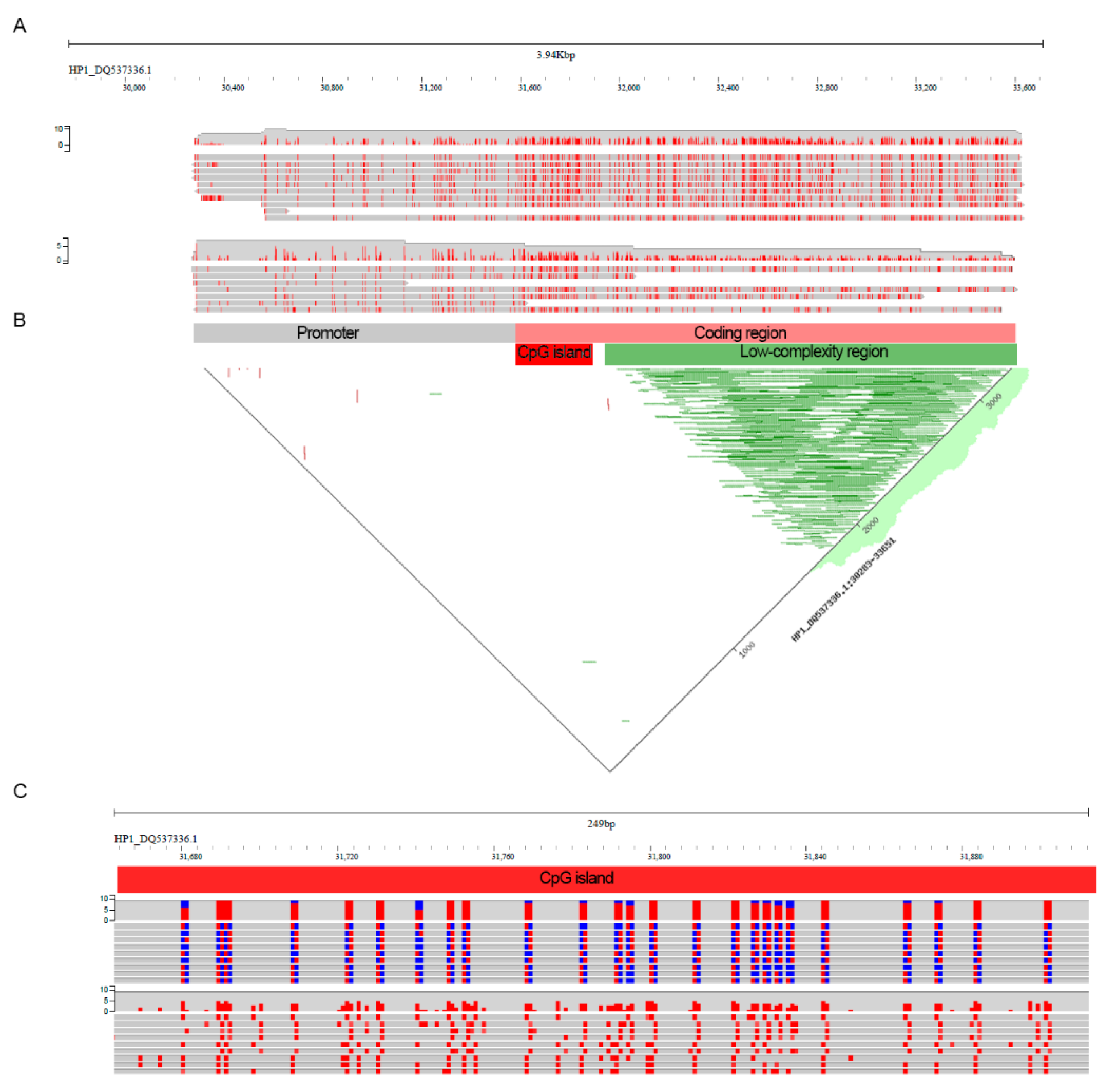 Plants 11 00005 g003