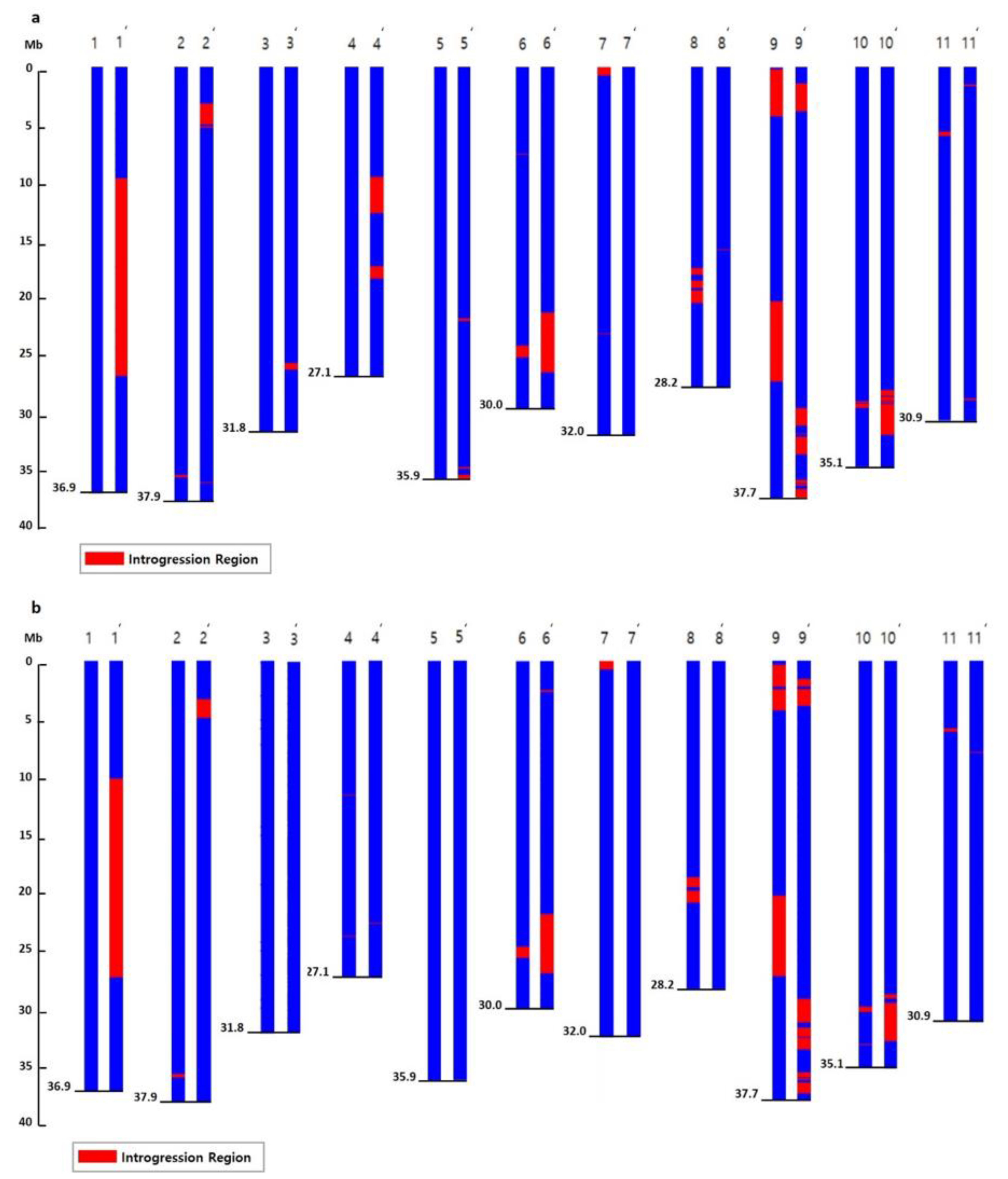 Plants 11 00008 g002