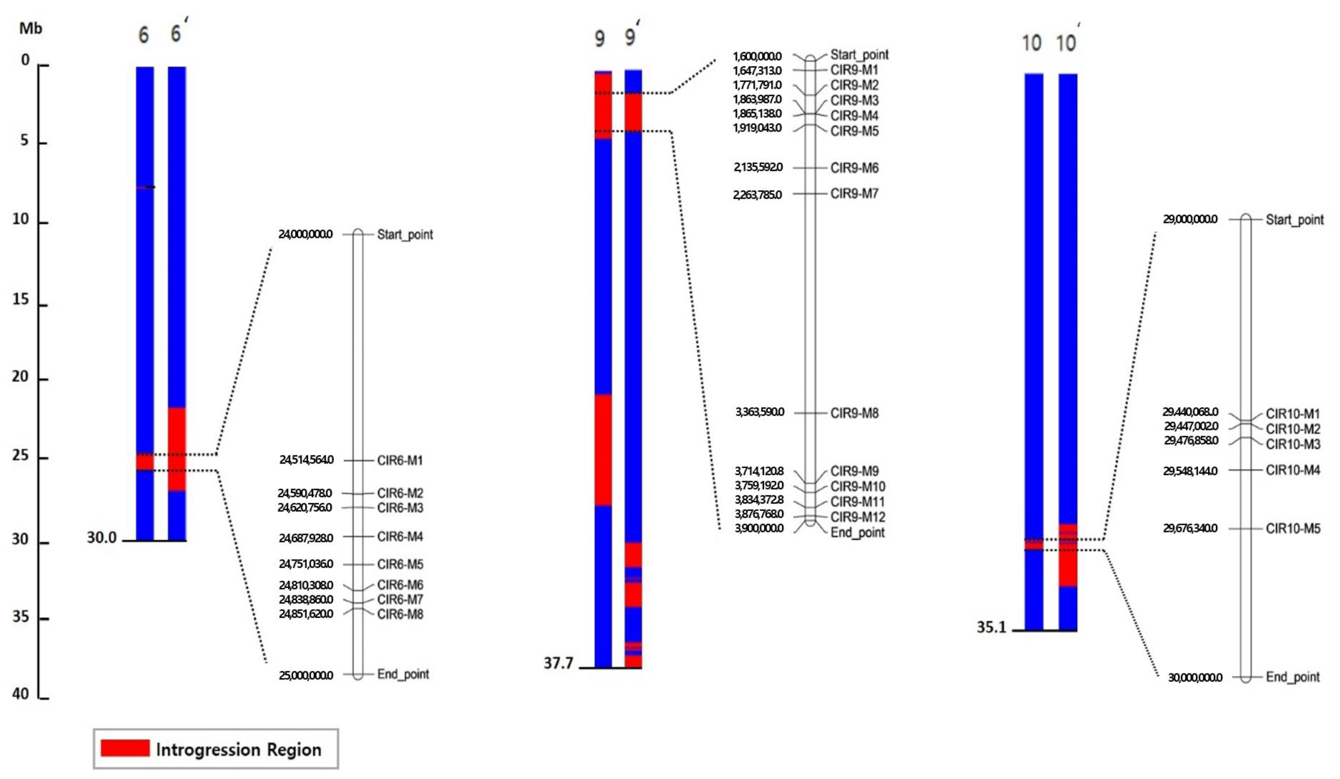 Plants 11 00008 g003