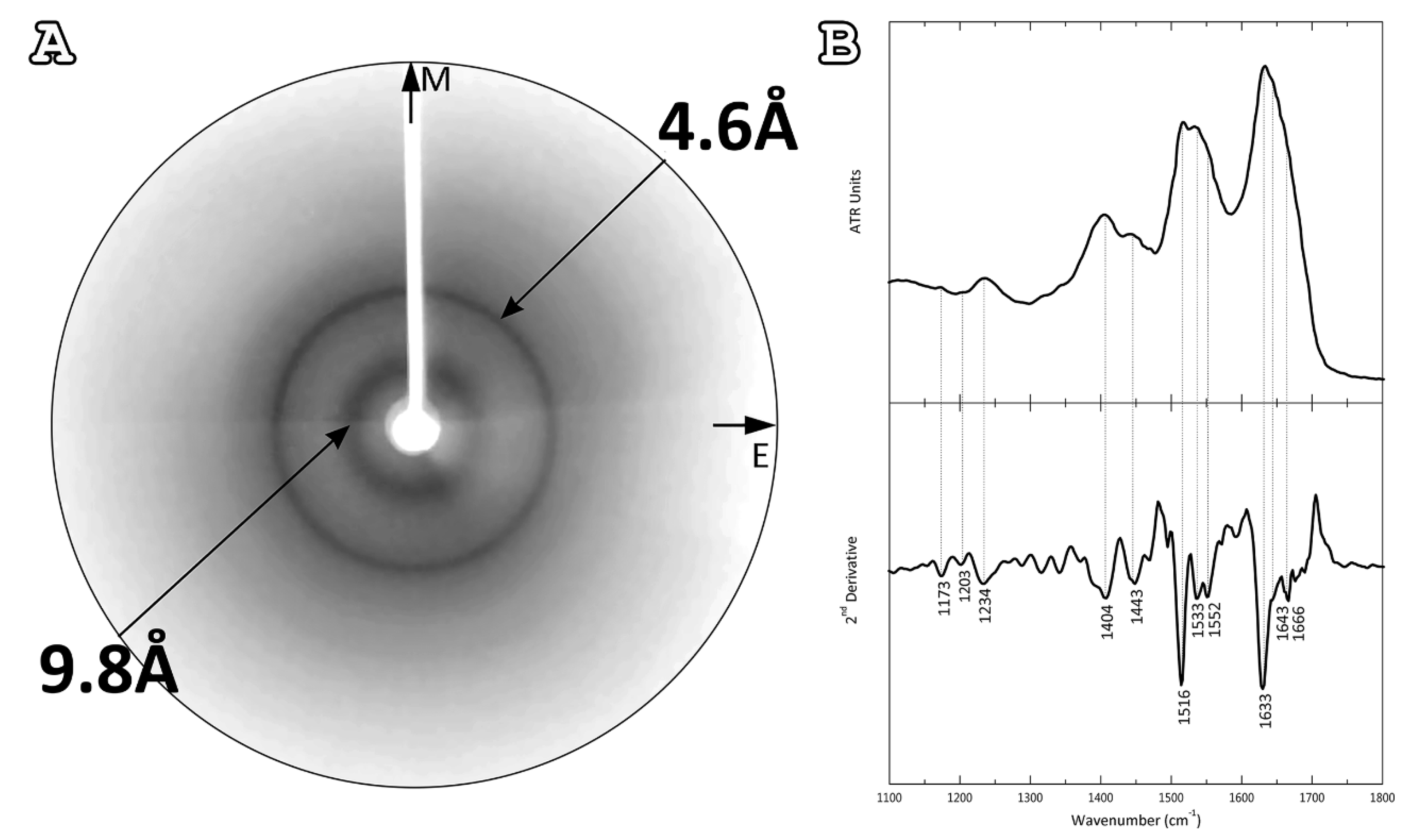 Plants 11 00009 g003 Plants 11 00009 g003