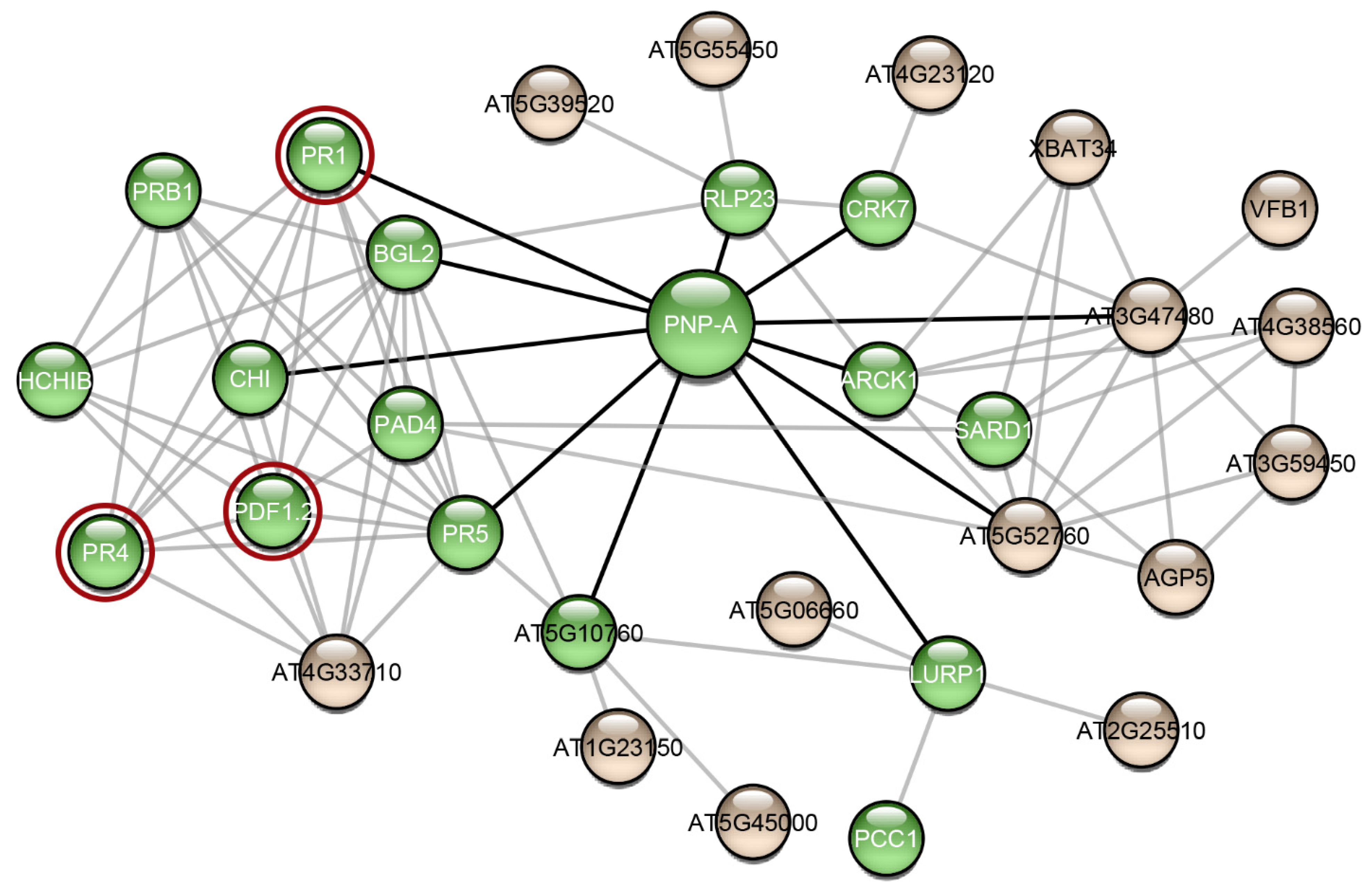 Plants 11 00009 g005 Plants 11 00009 g005