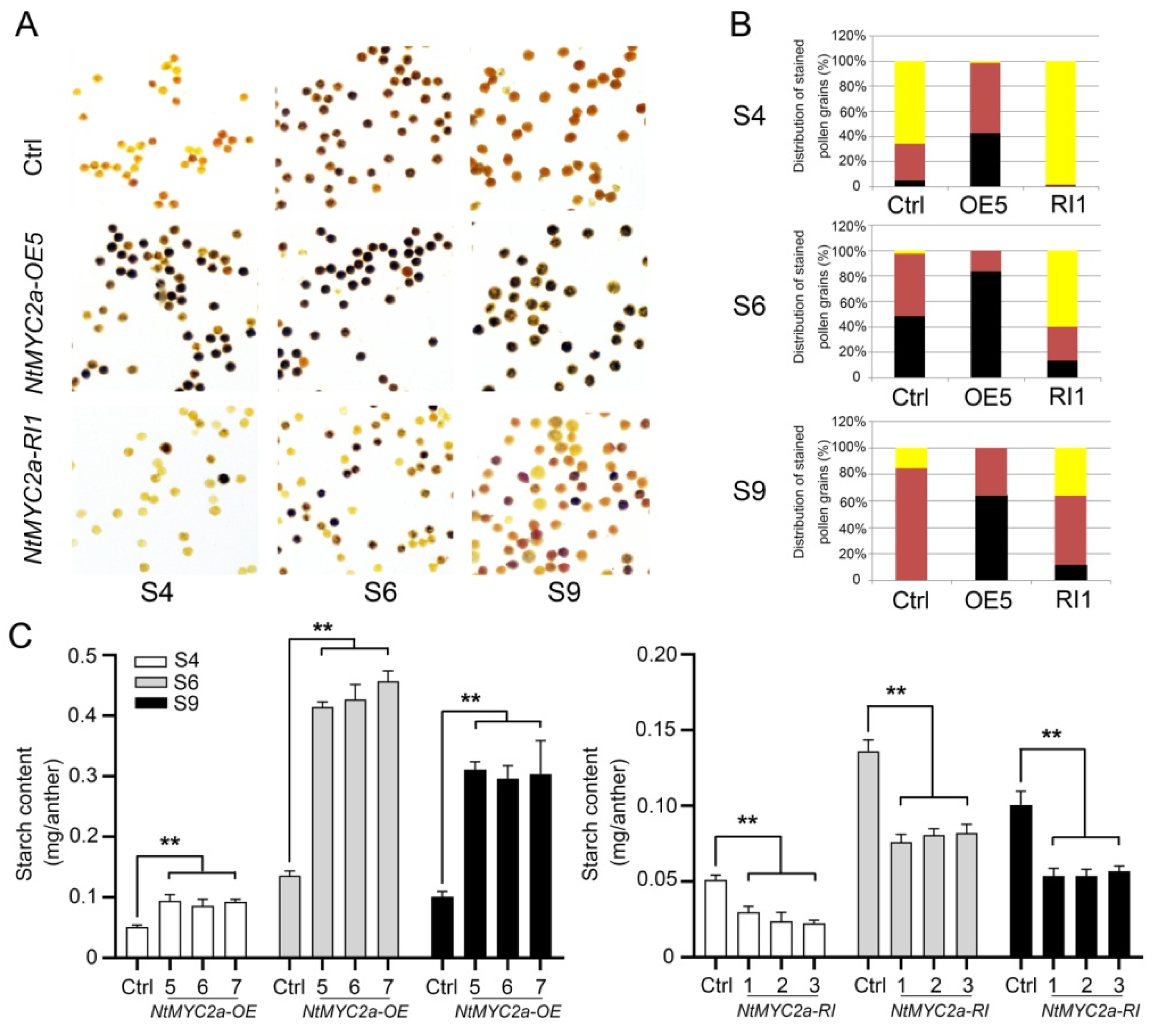 Plants 11 00017 g002