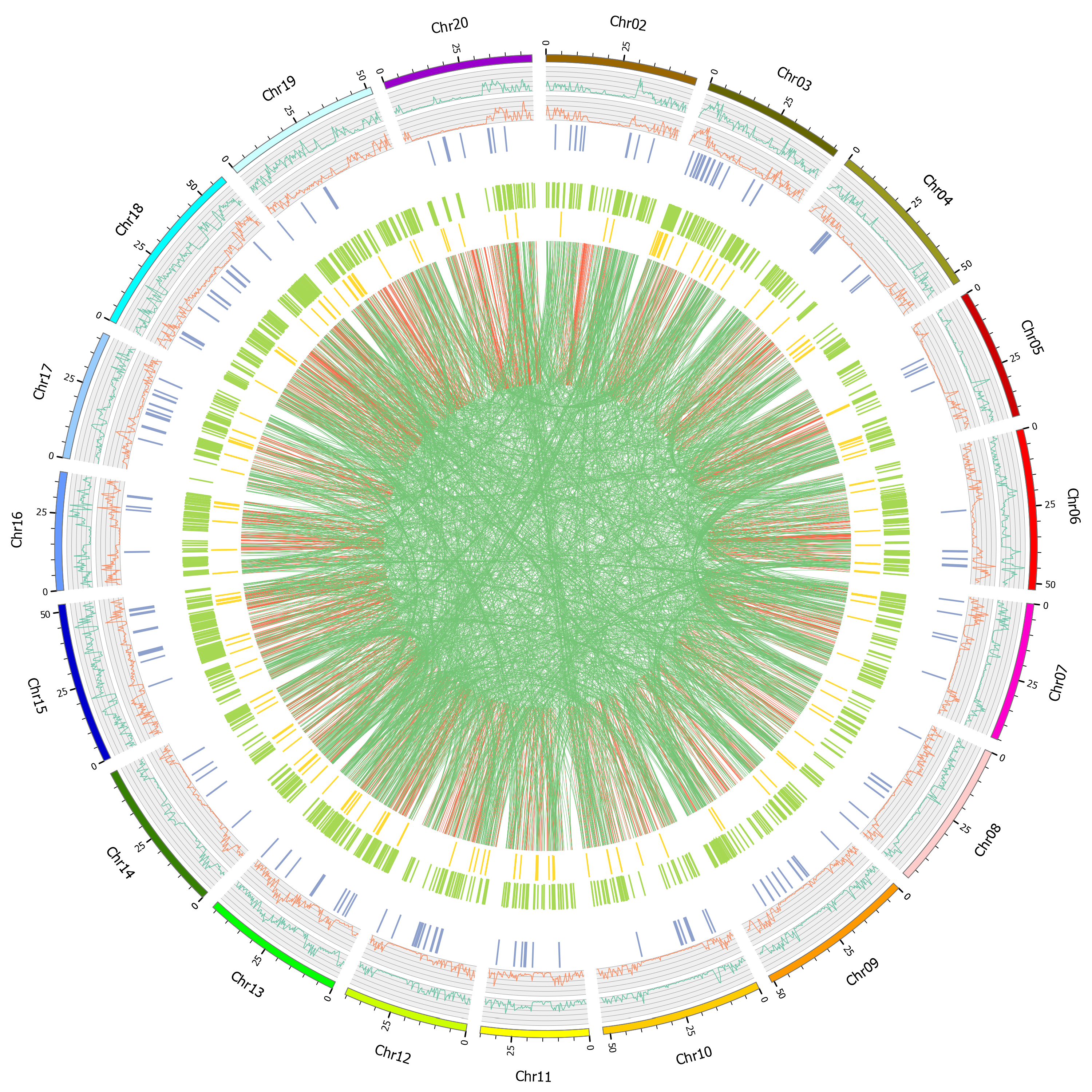 Plants 11 00028 g003