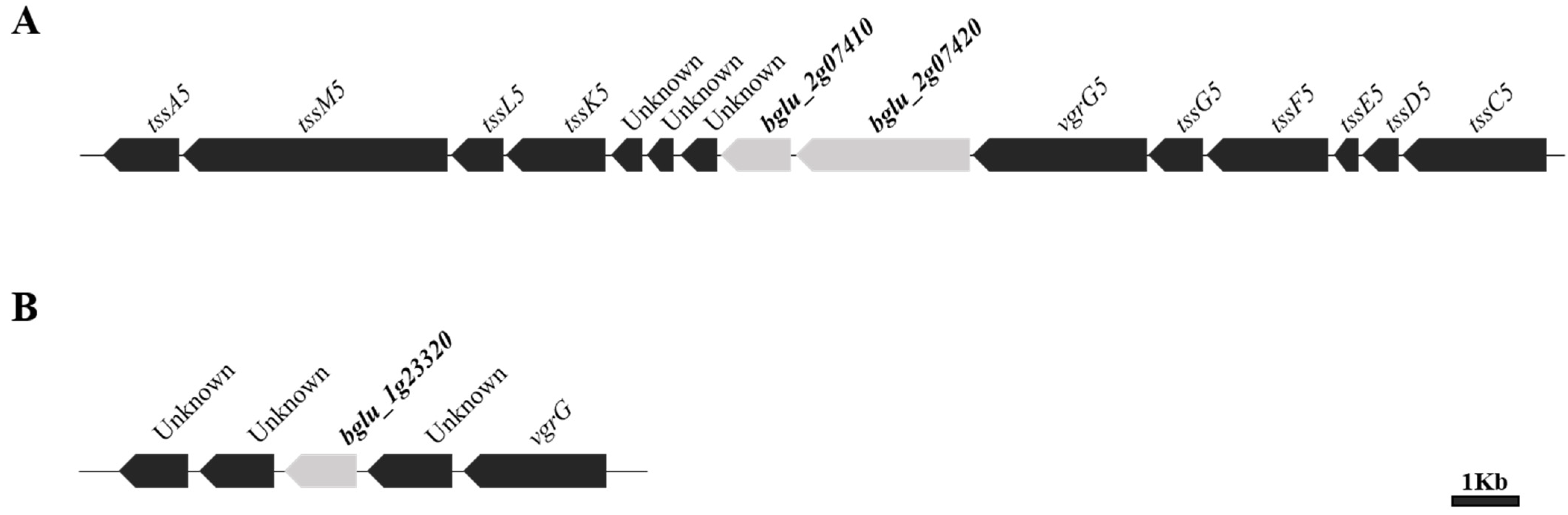 Plants 11 00034 g001