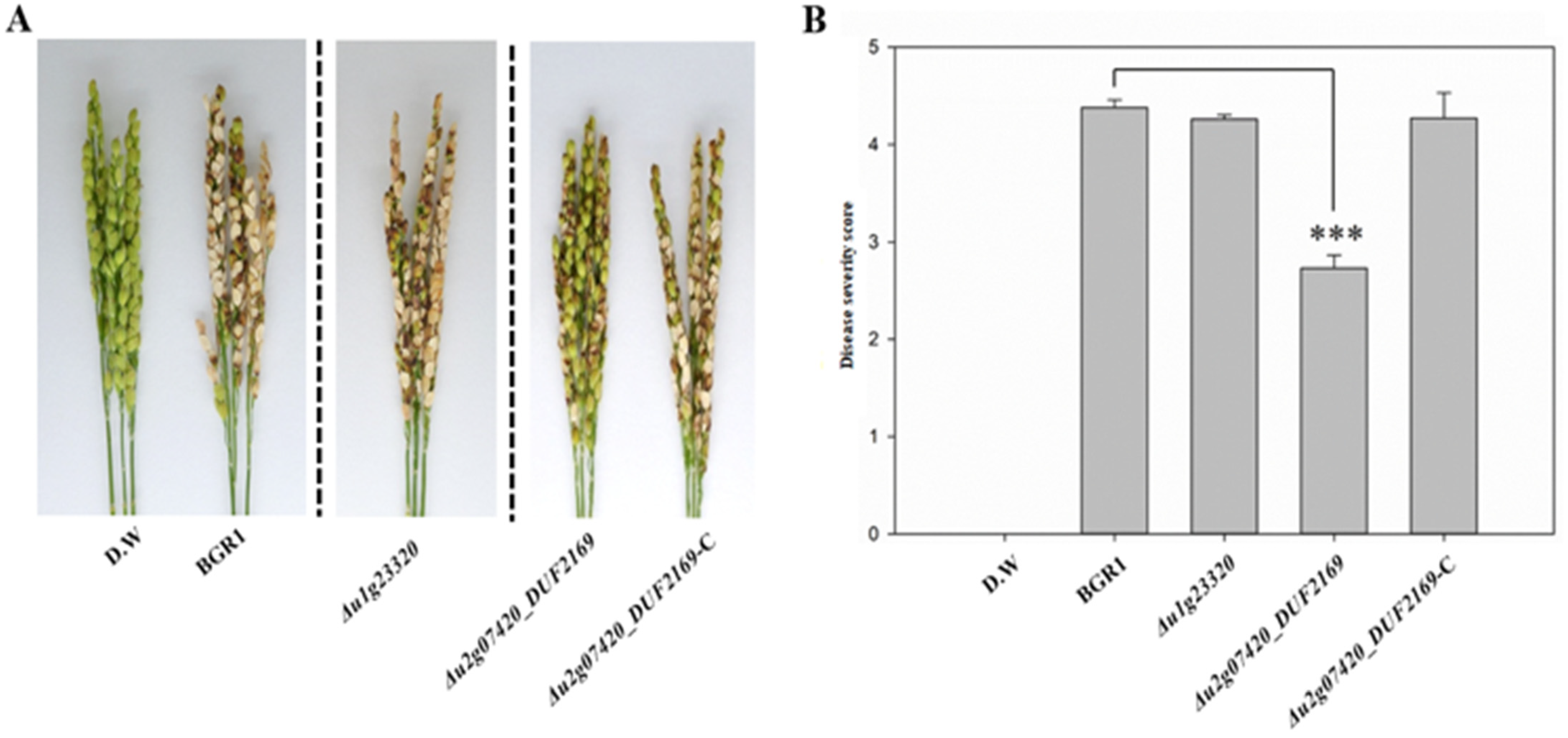 Plants 11 00034 g003