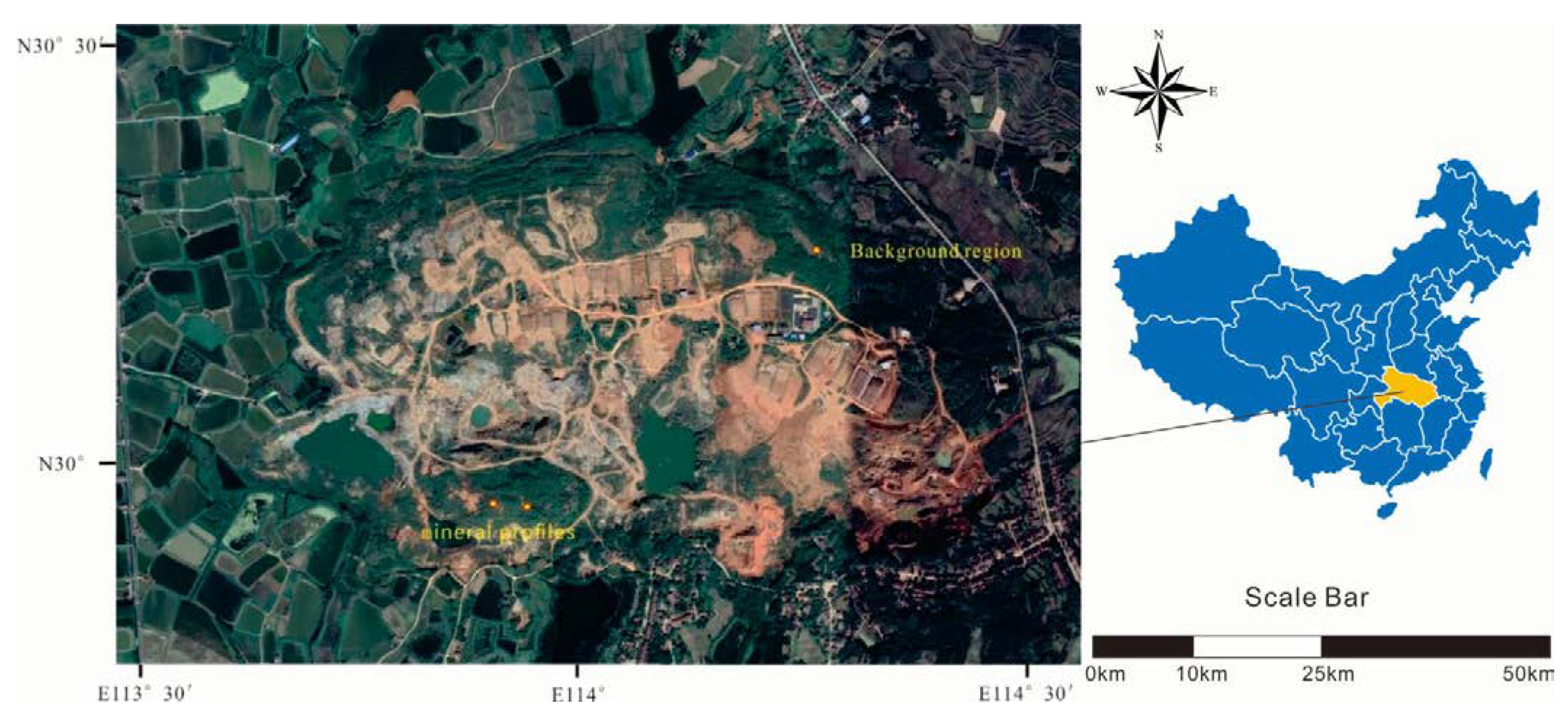 Plants 11 00038 g001