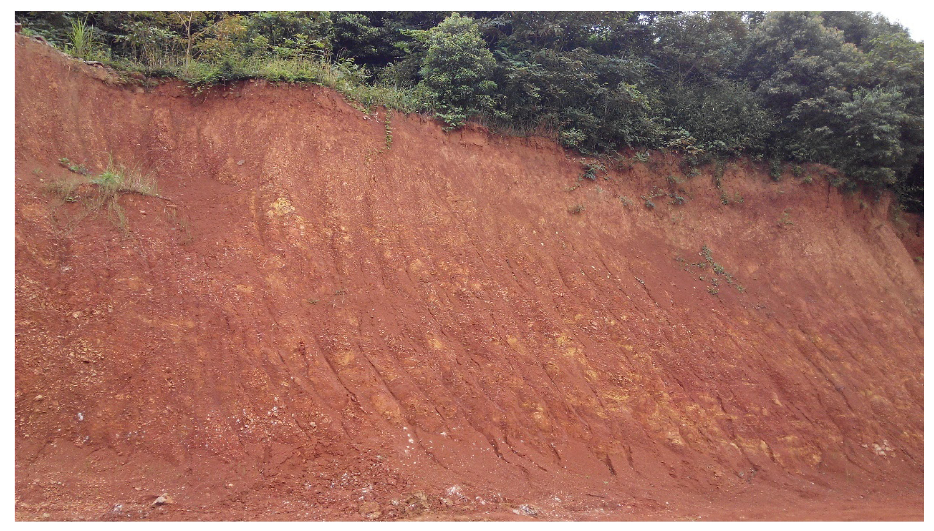 Plants 11 00038 g002