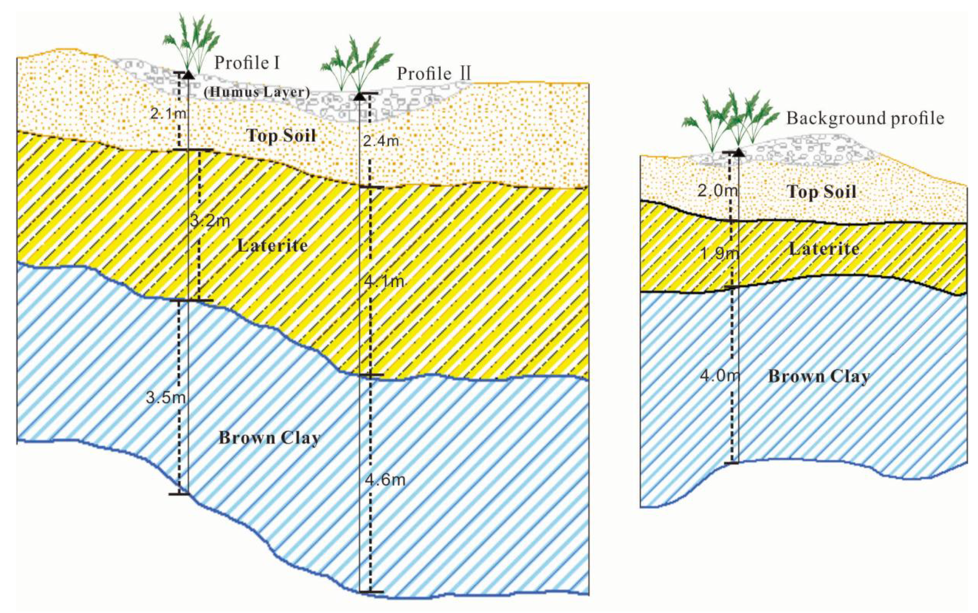 Plants 11 00038 g003