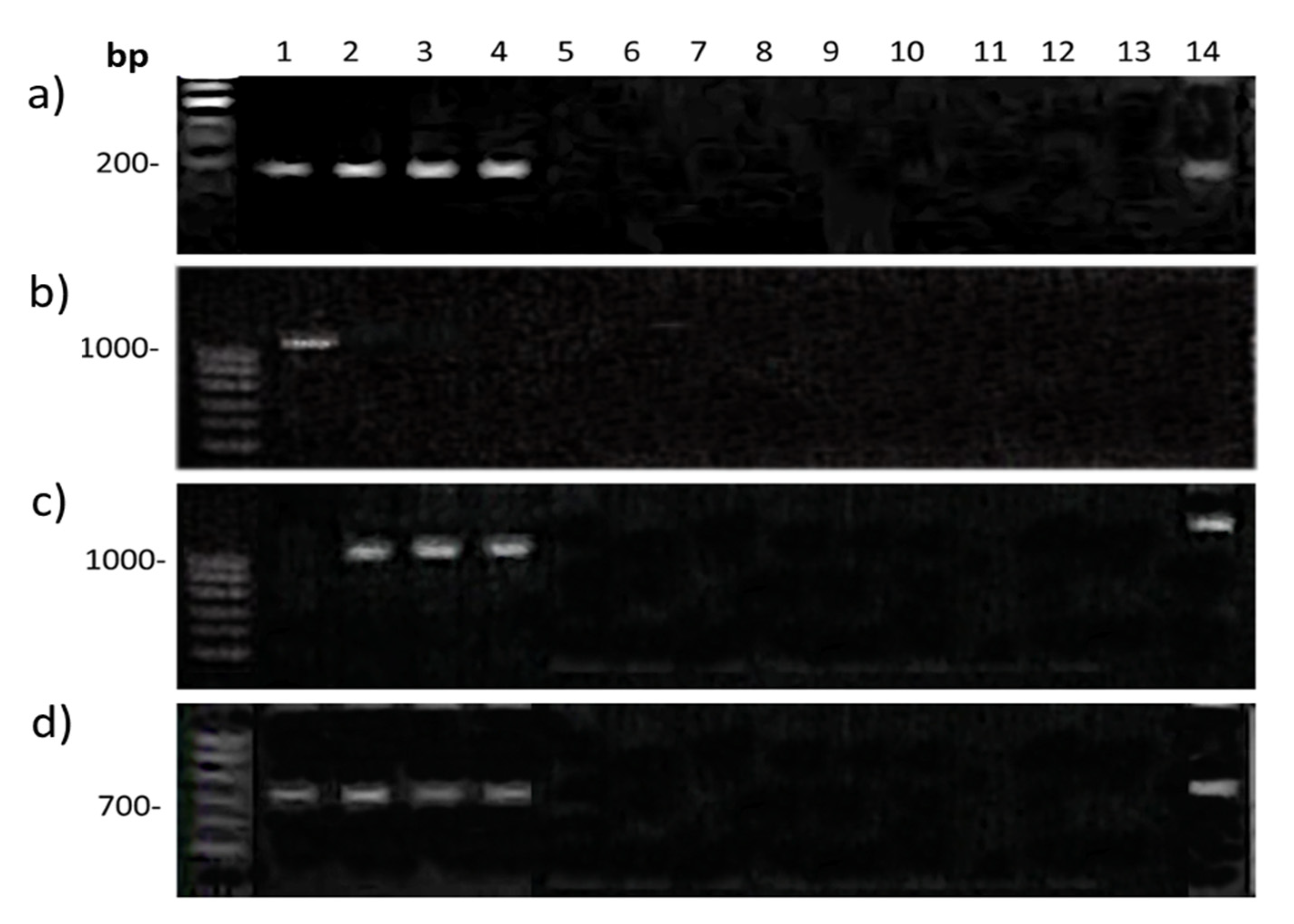 Plants 11 00058 g006