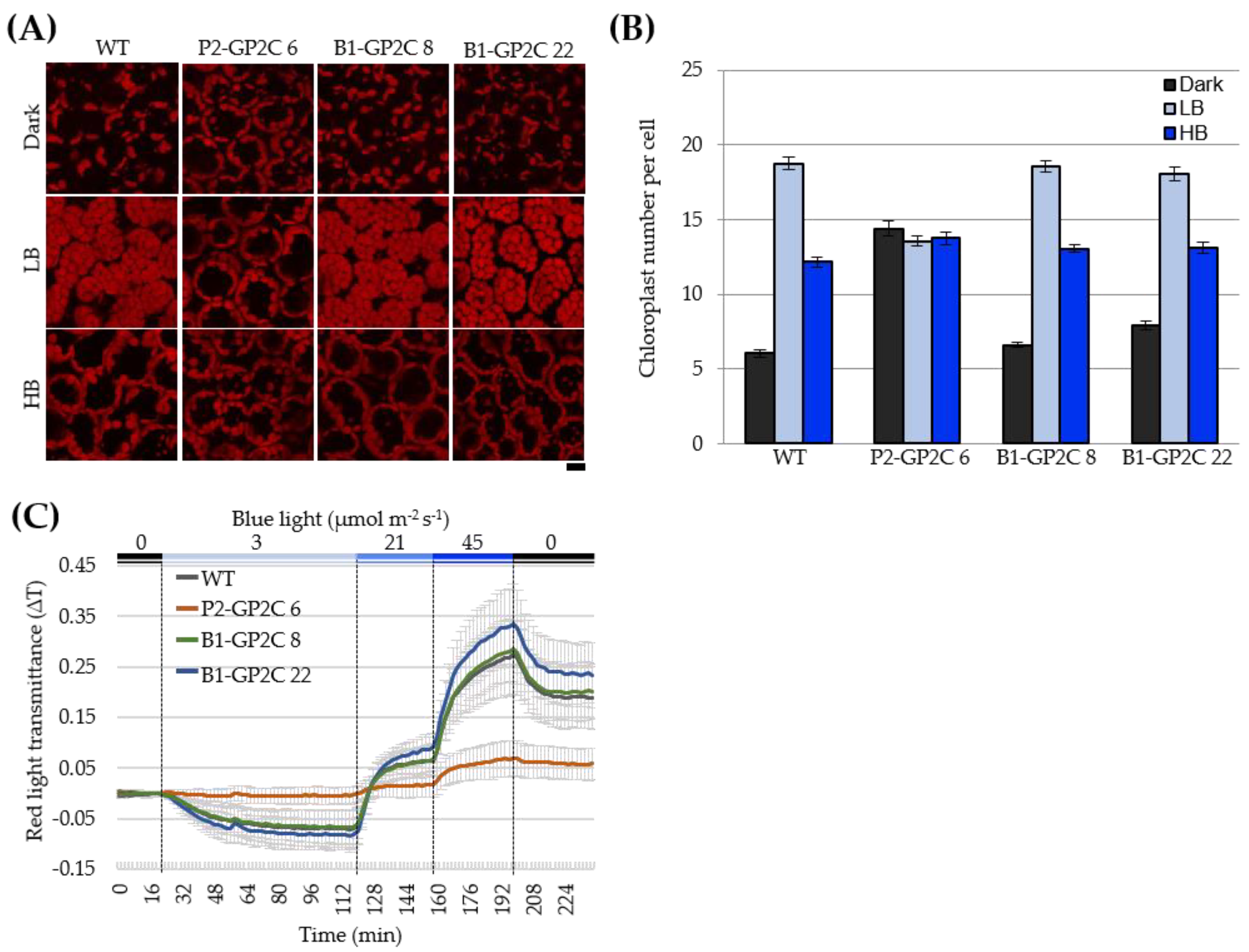 Plants 11 00065 g002