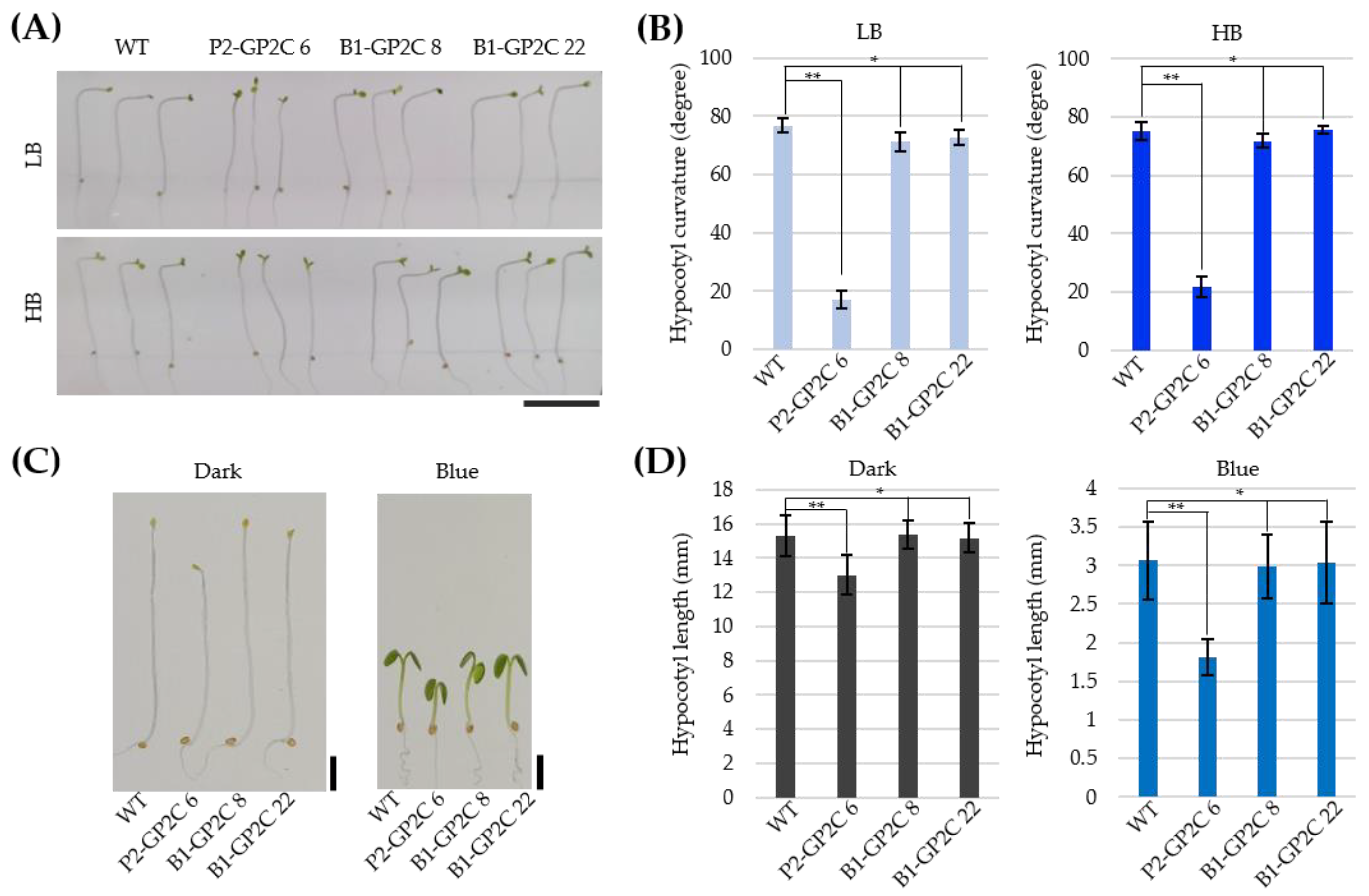 Plants 11 00065 g003