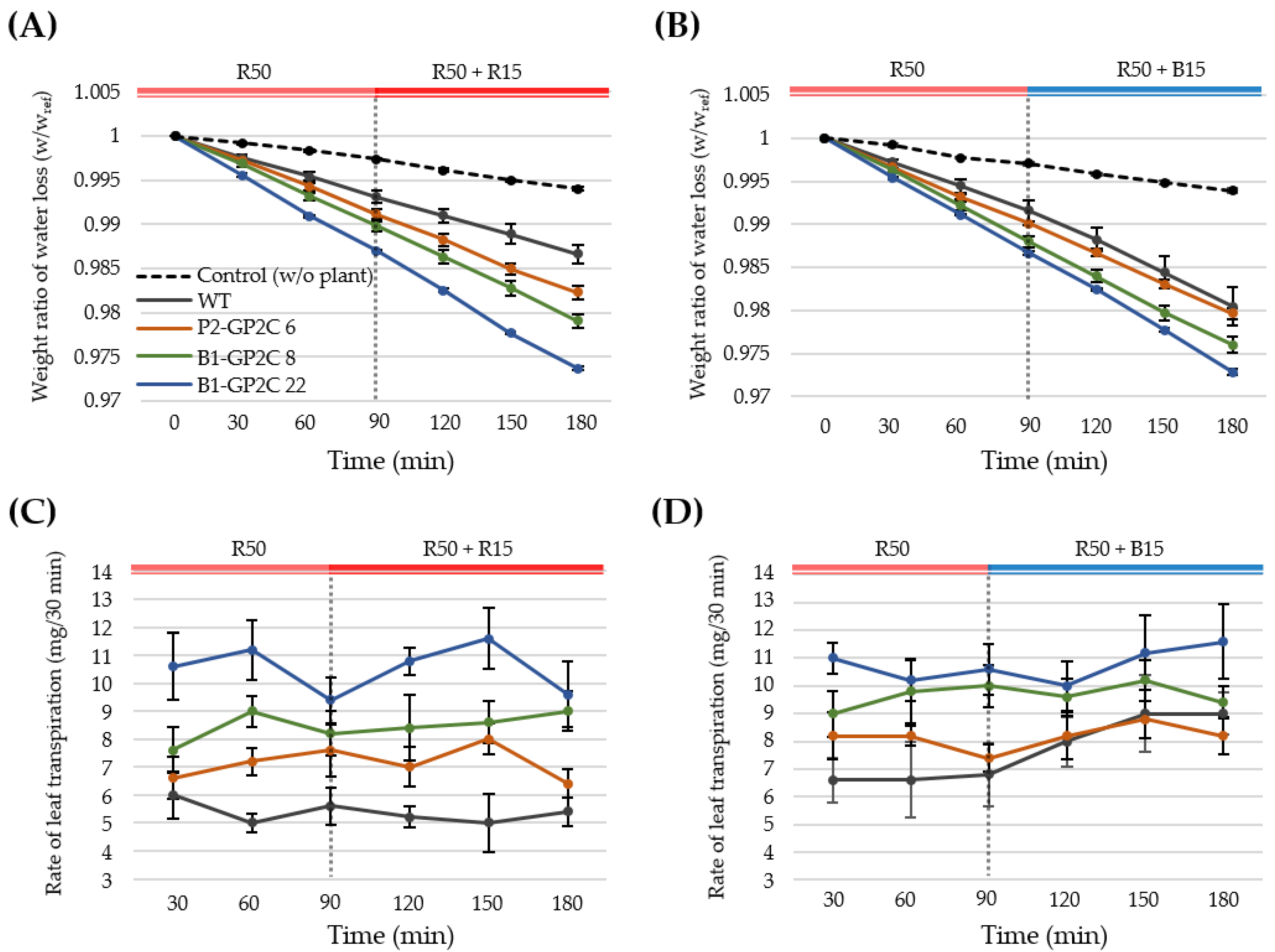 Plants 11 00065 g006