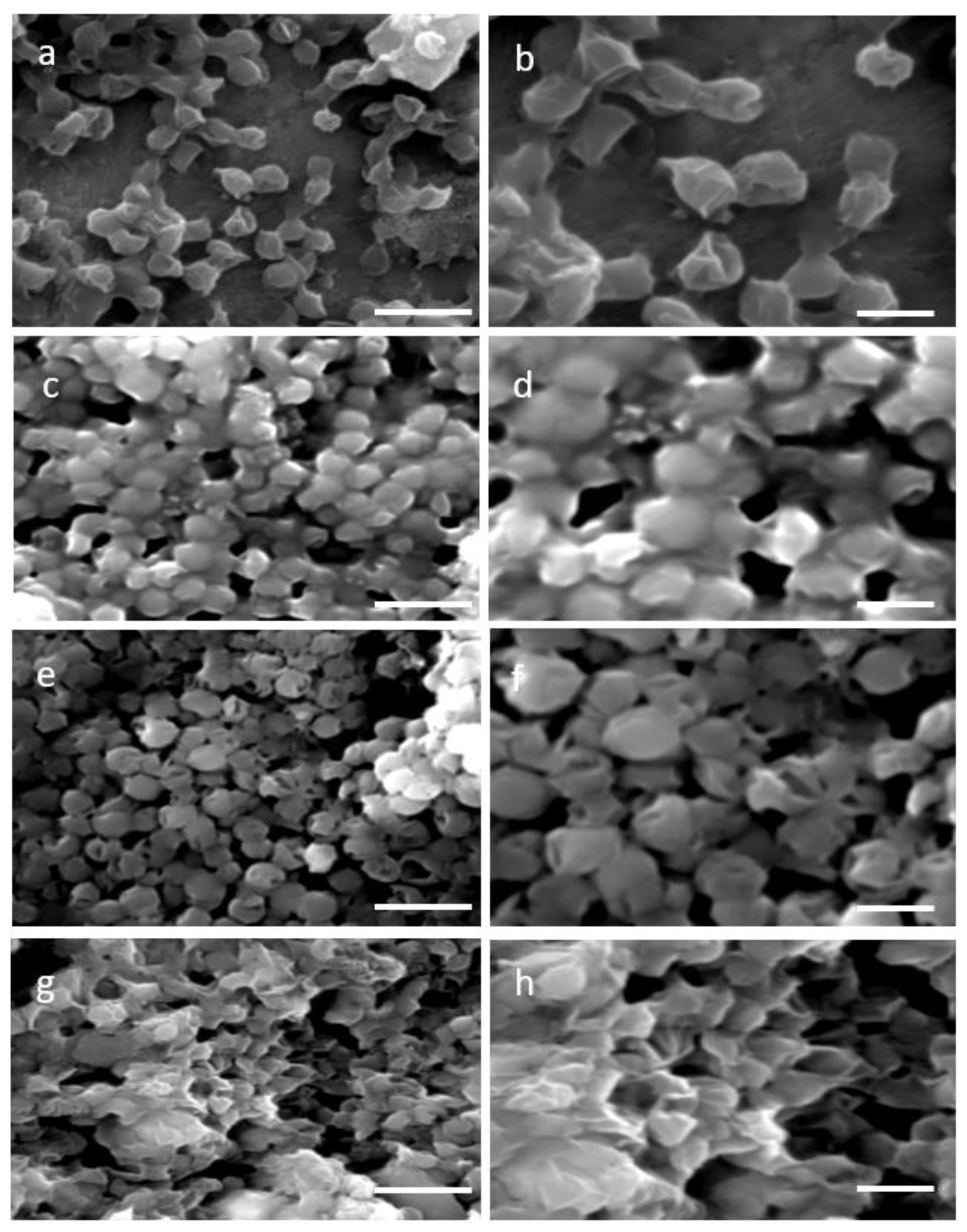 Plants 11 00072 g001