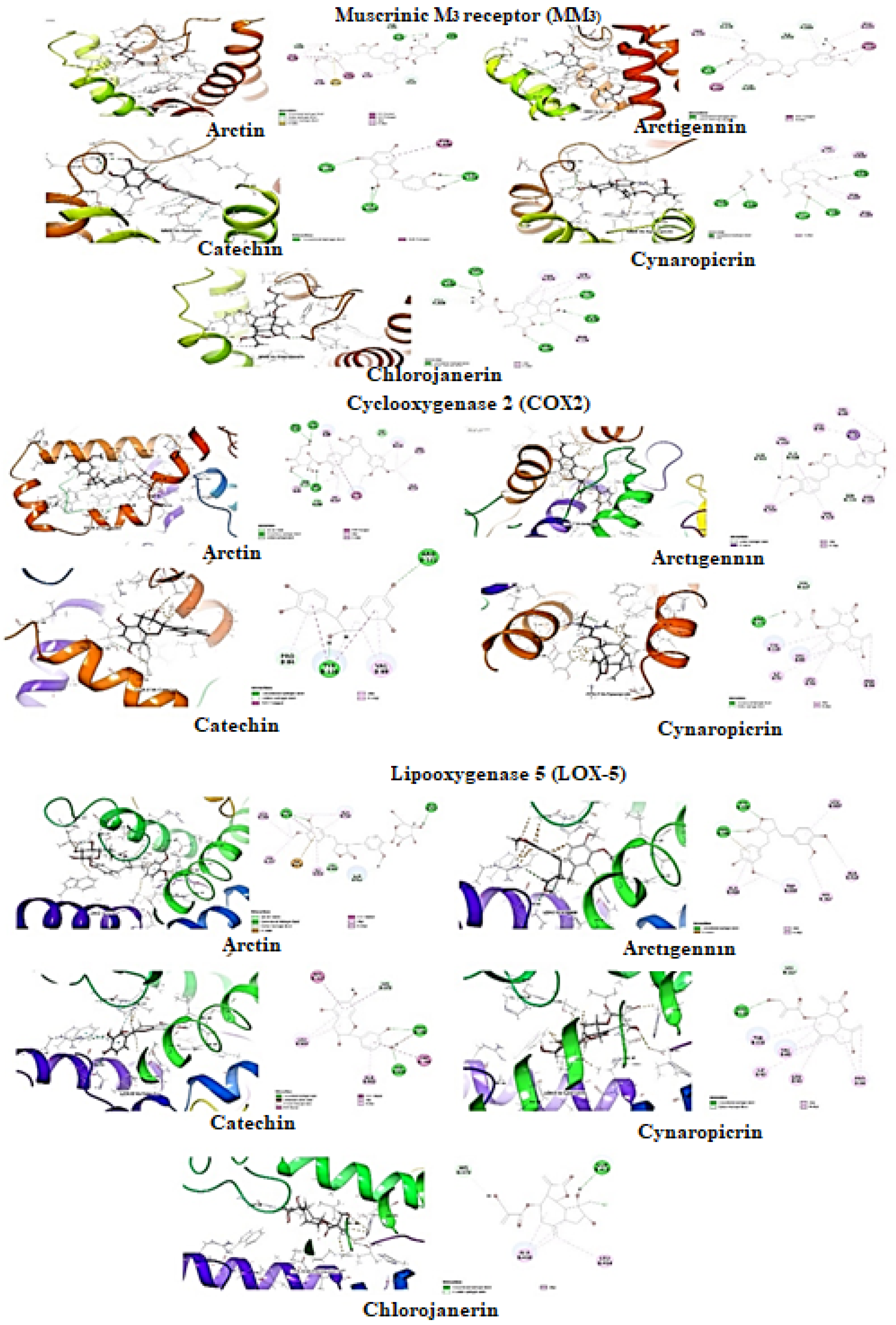 Plants 11 00078 g008