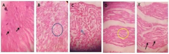 Plants 11 00080 g001