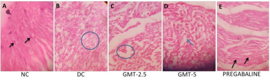 Plants 11 00080 g002