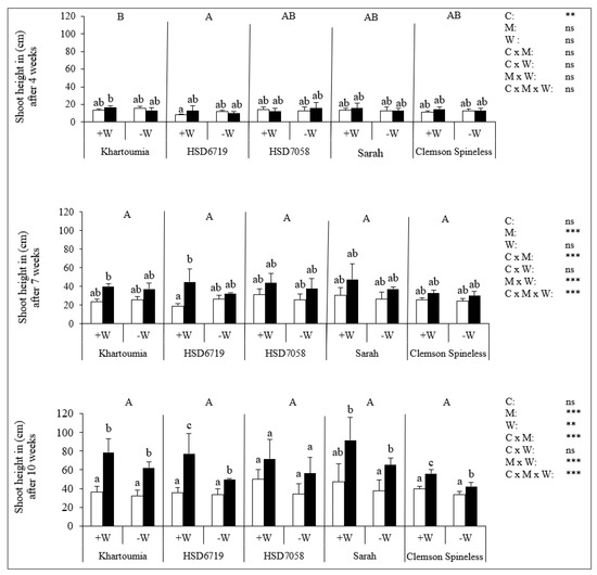 Plants 11 00089 g0a1 550