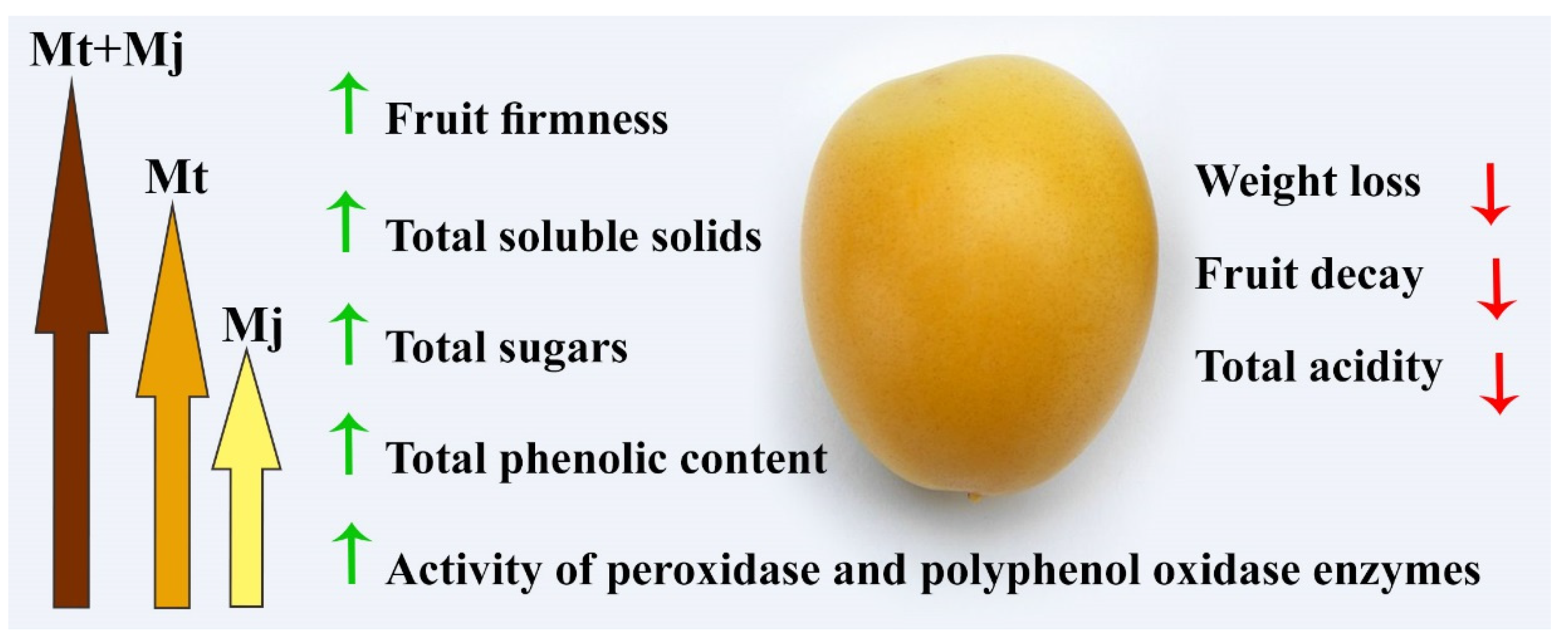 Plants 11 00096 g004