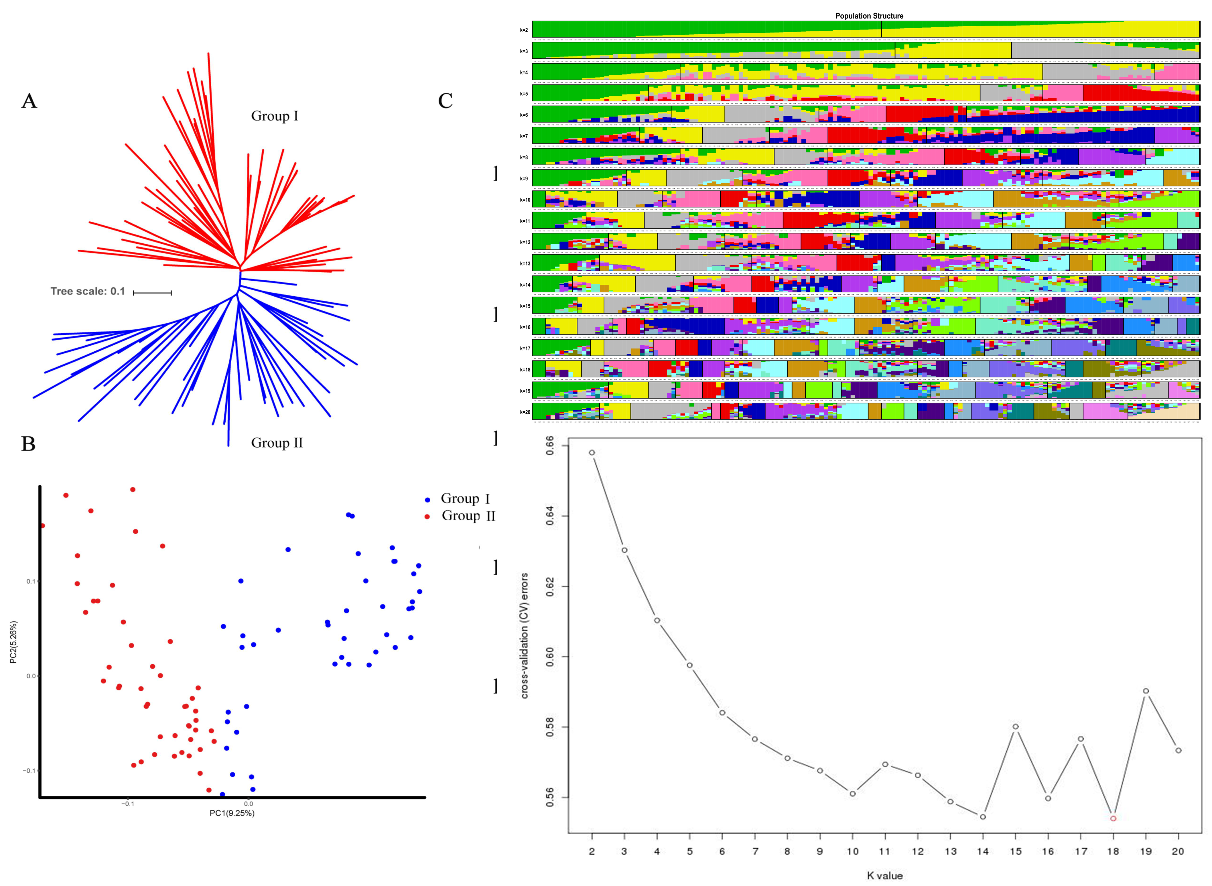 Plants 11 00097 g001