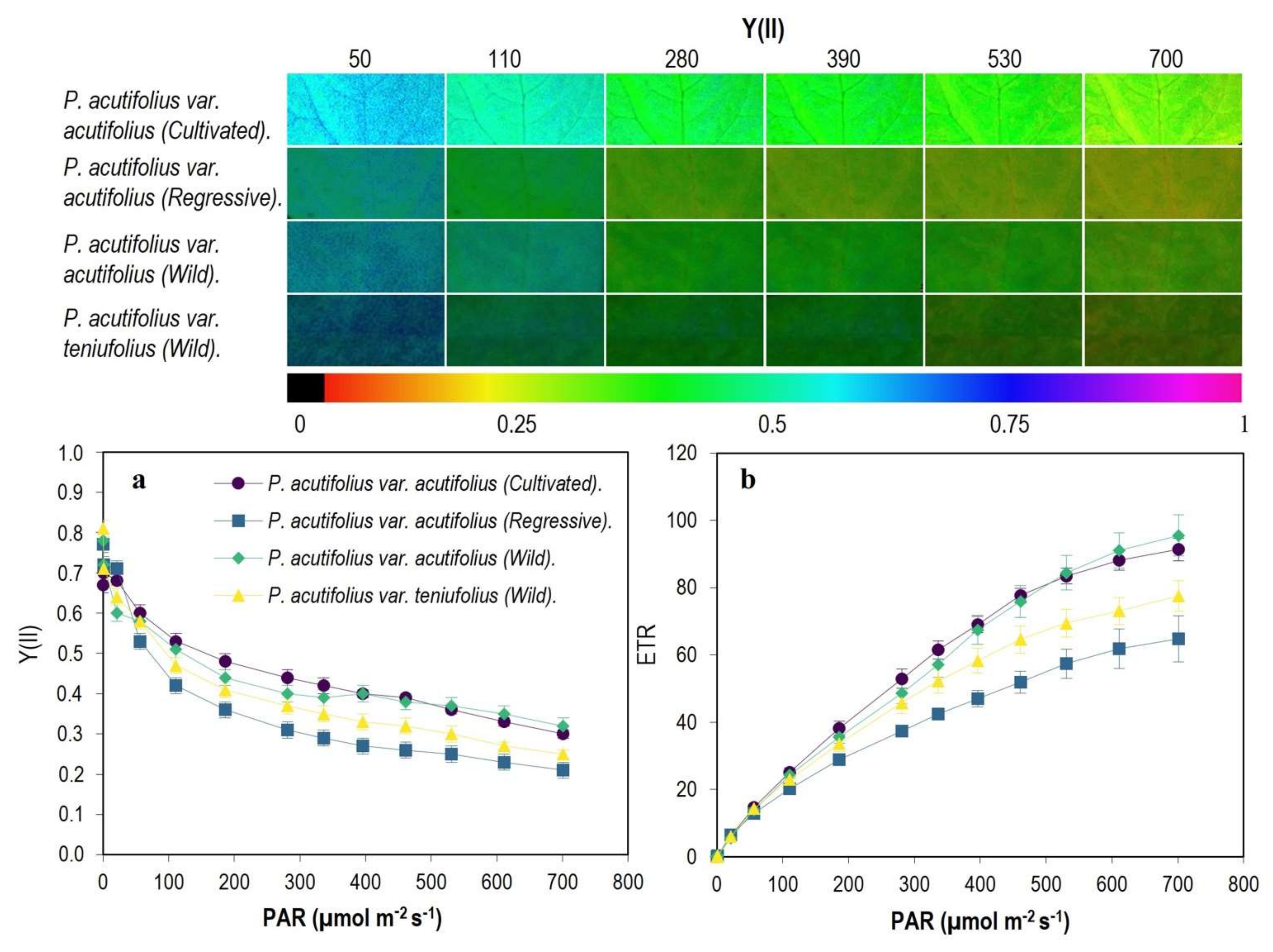 Plants 11 00116 g005