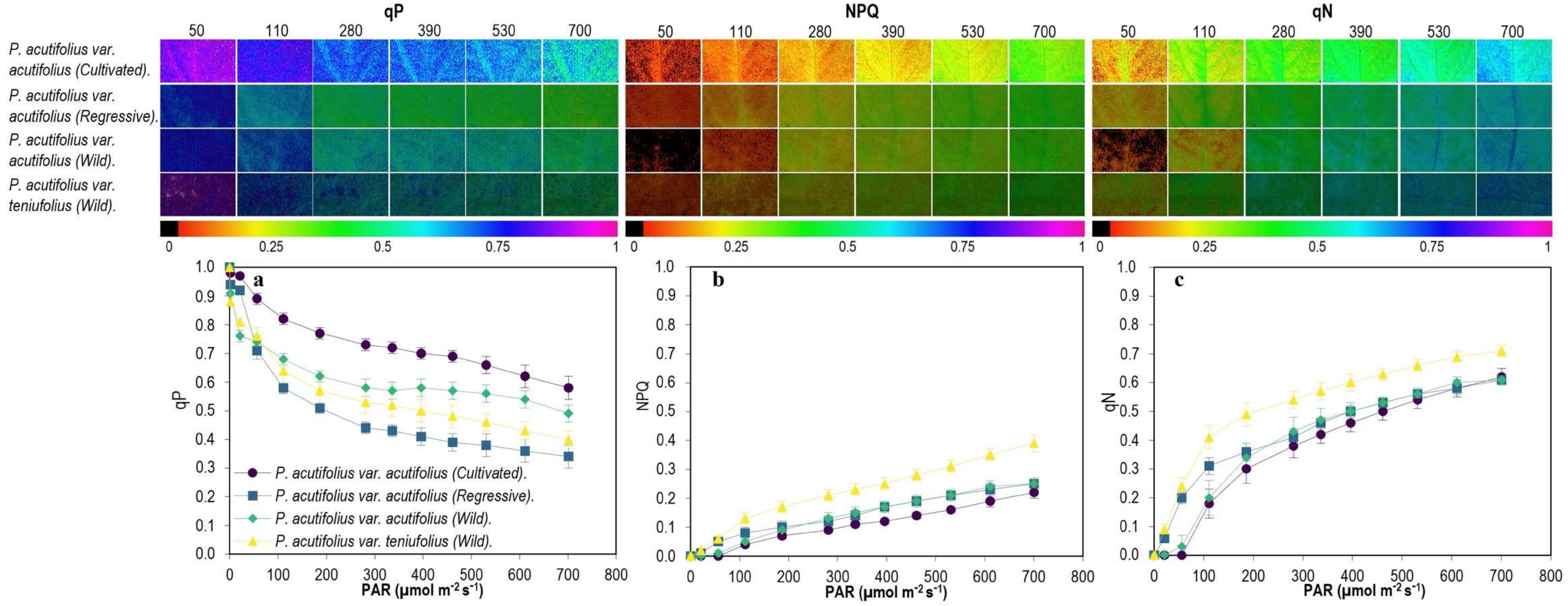 Plants 11 00116 g006