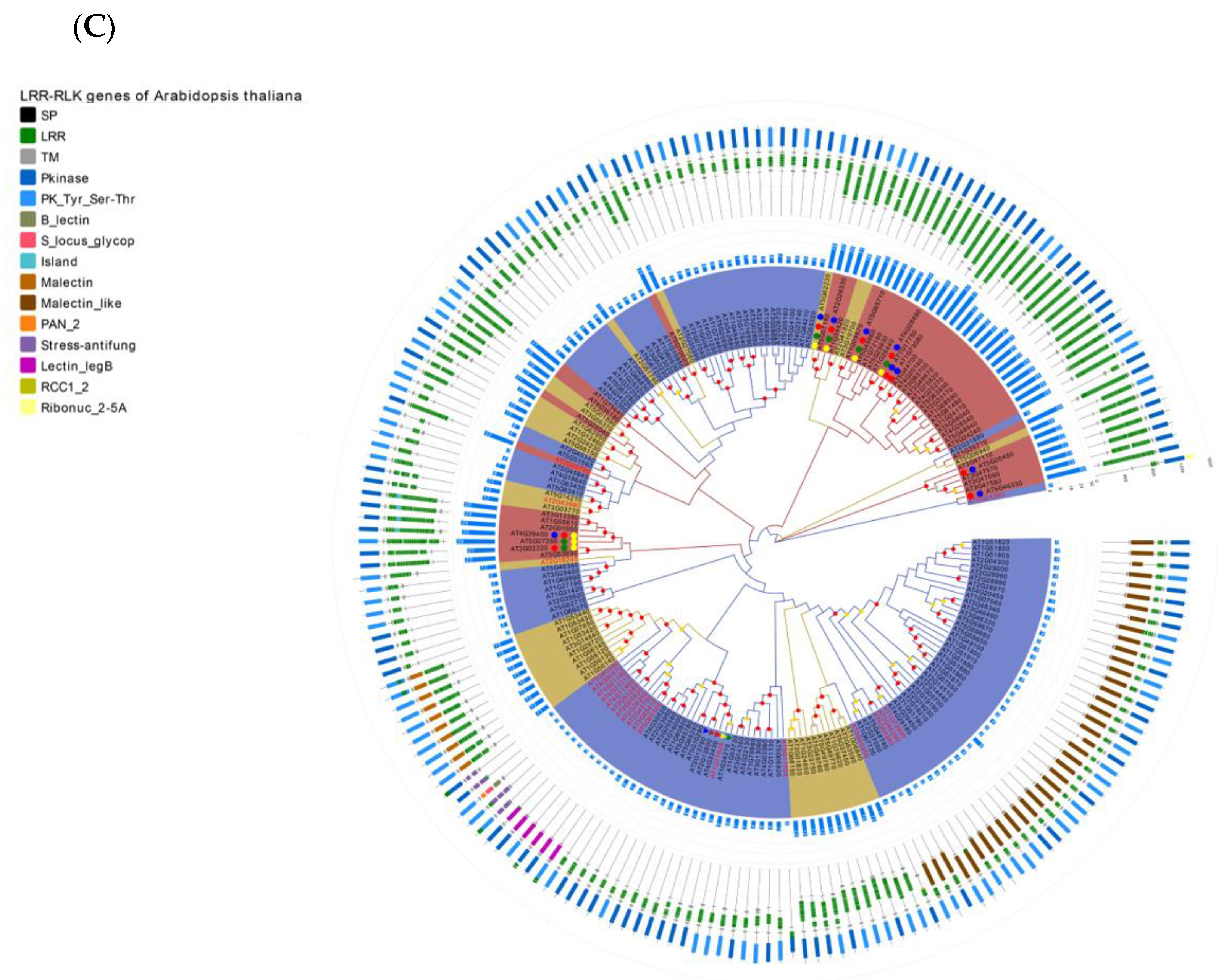 Plants 11 00136 g004b