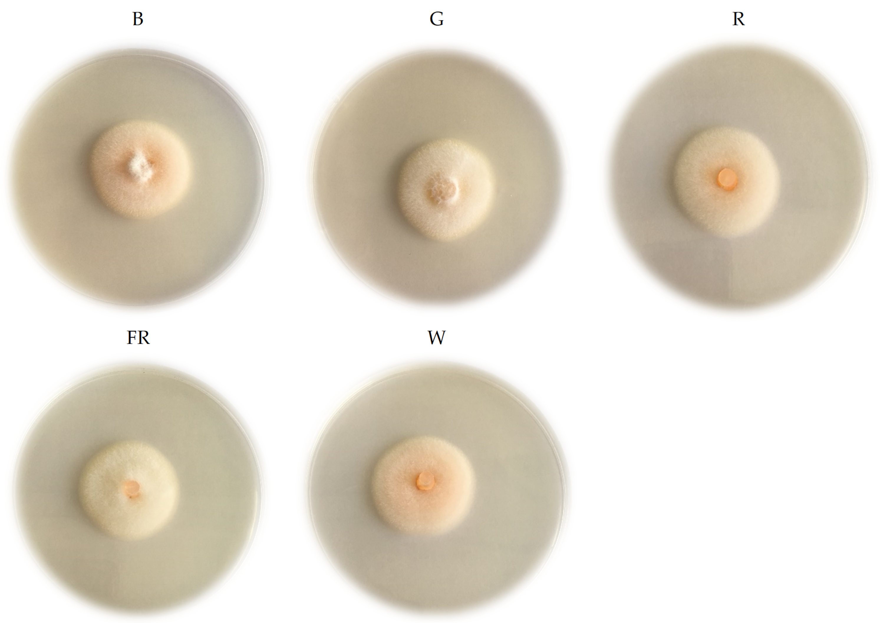 Plants 11 00143 g003