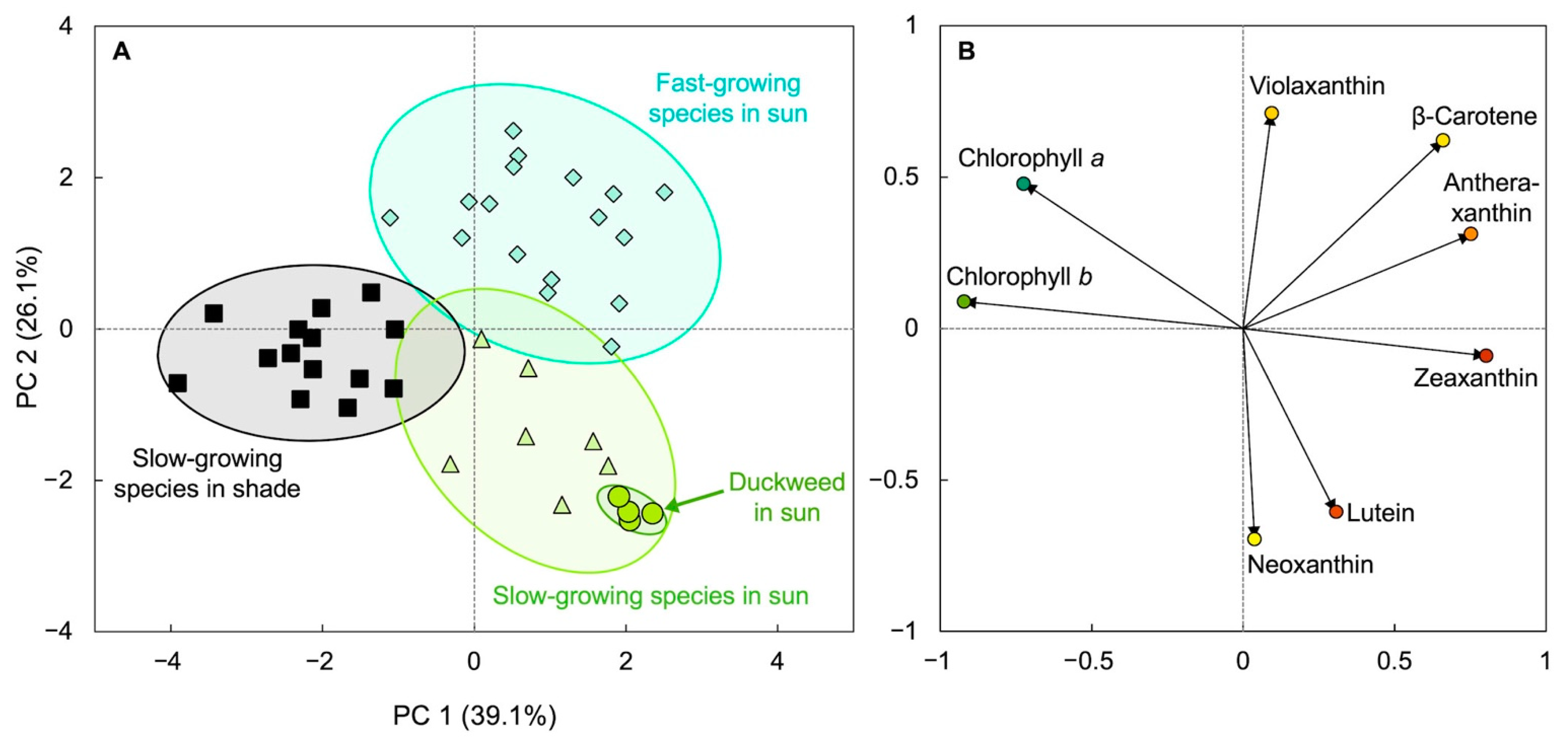 Plants 11 00145 g003