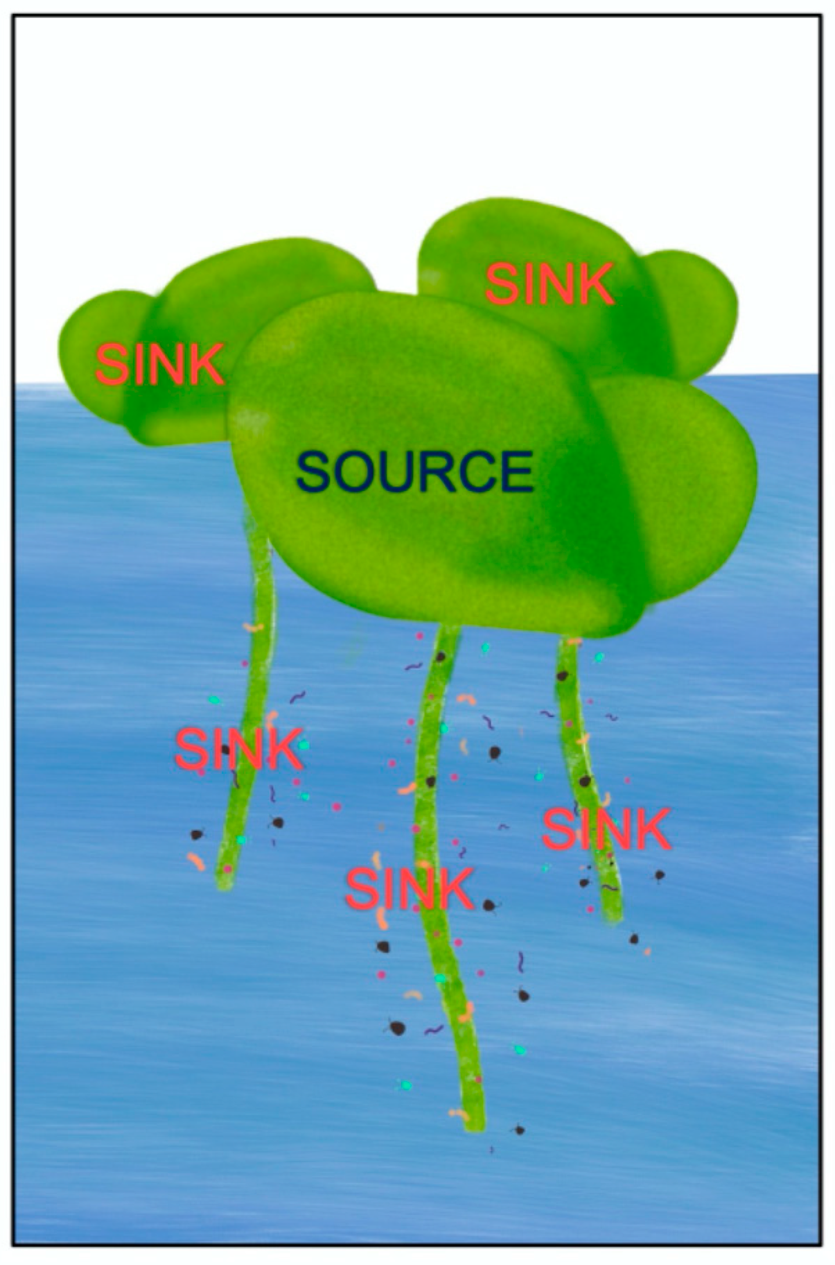 Plants 11 00145 g011