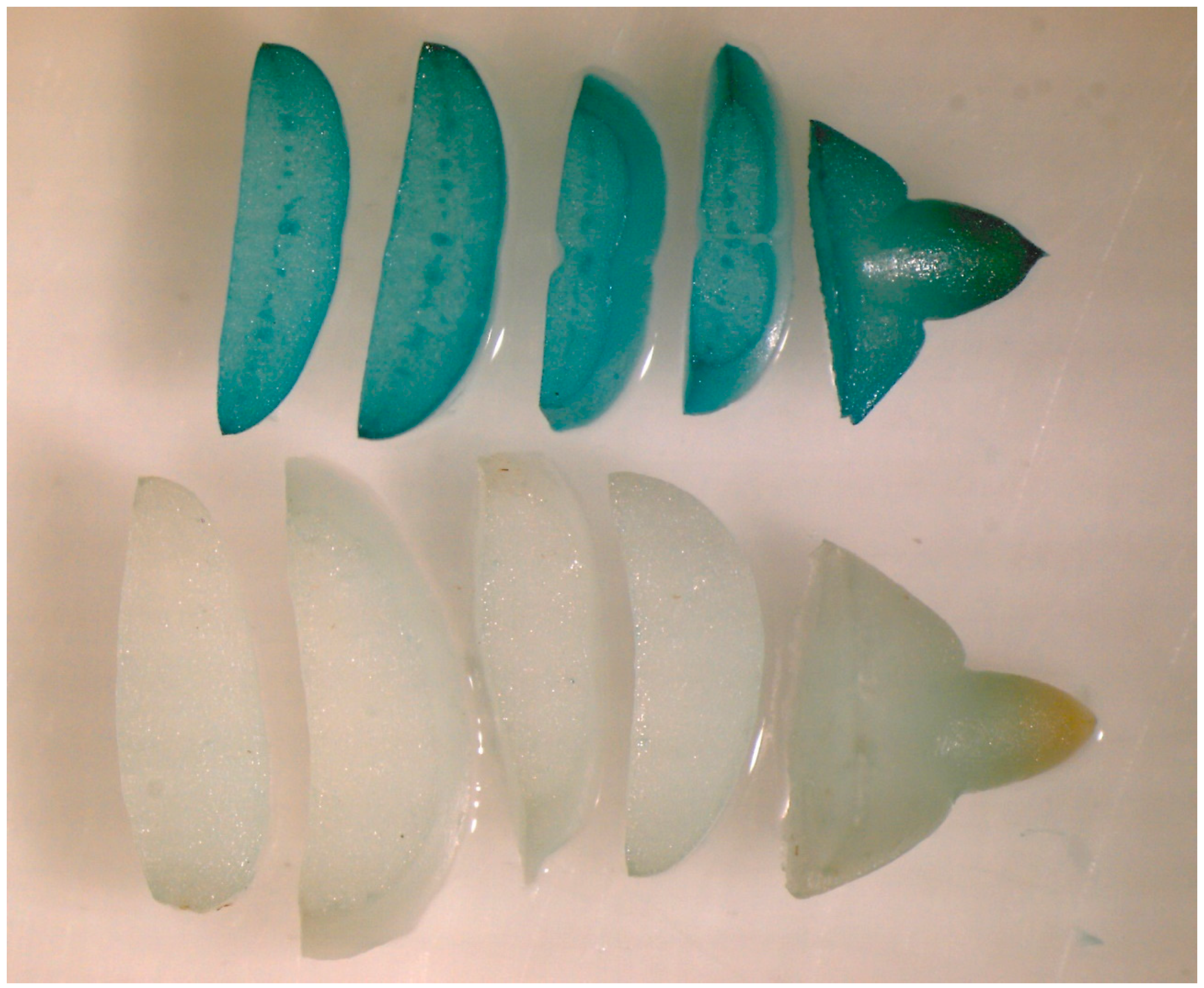 Plants 11 00151 g004