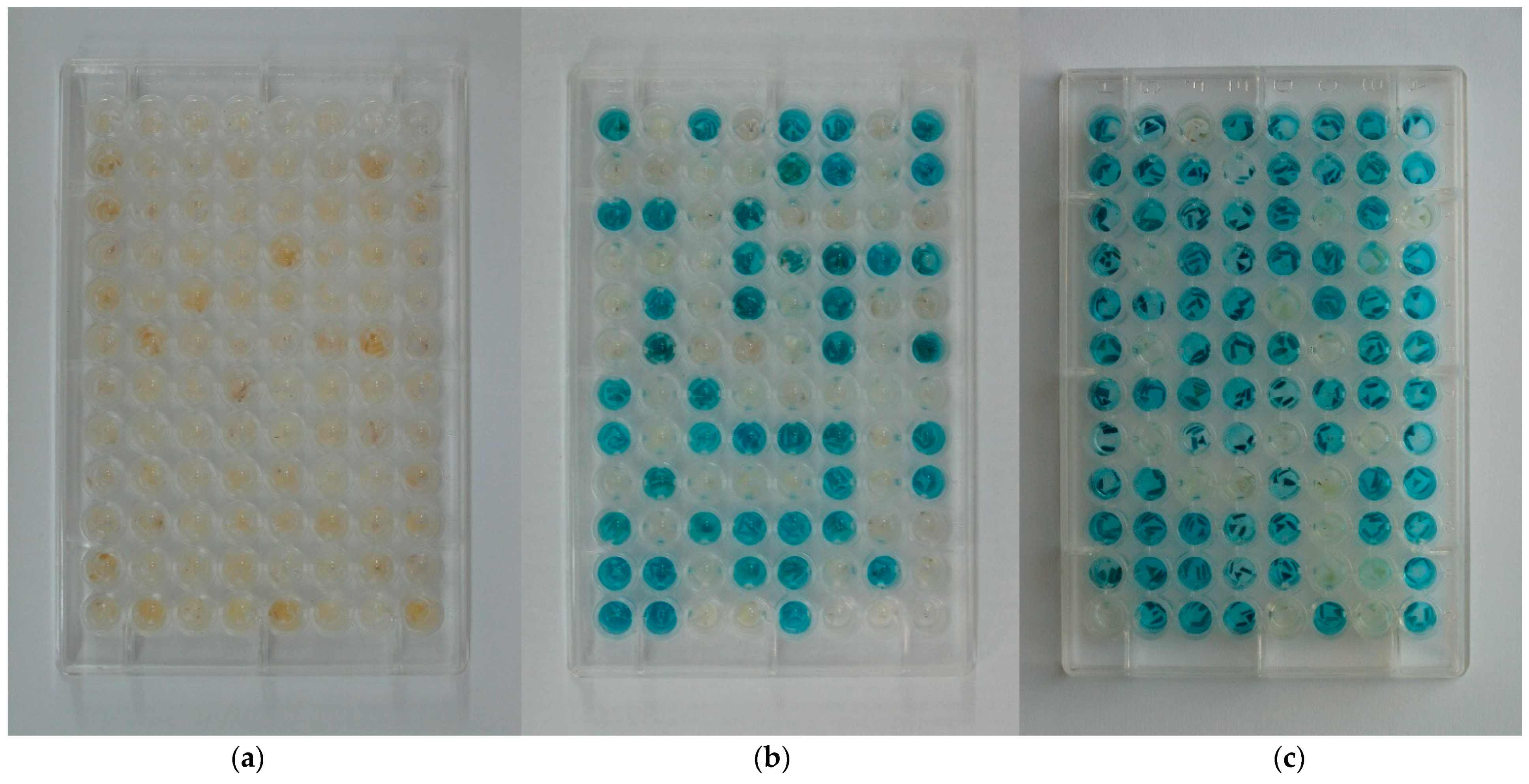 Plants 11 00151 g005