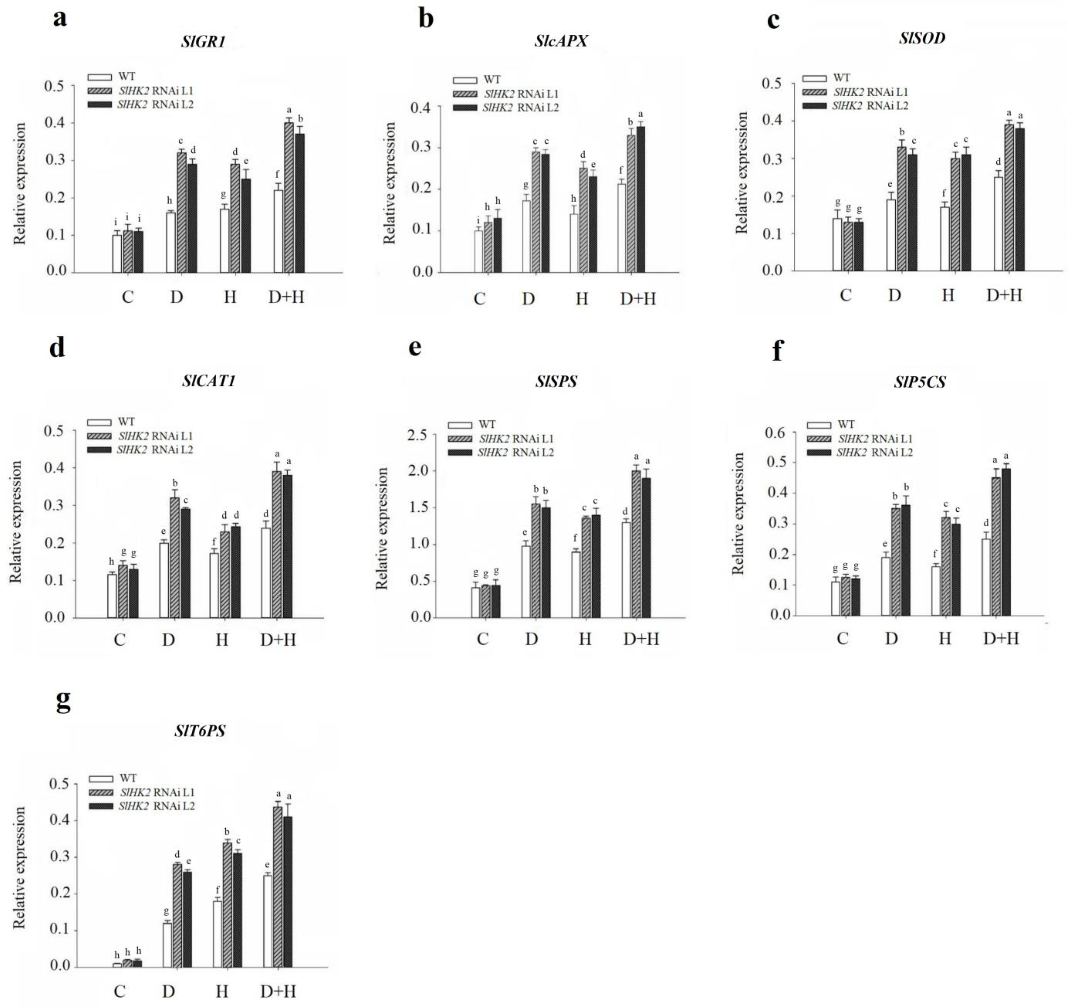 Plants 11 00154 g007