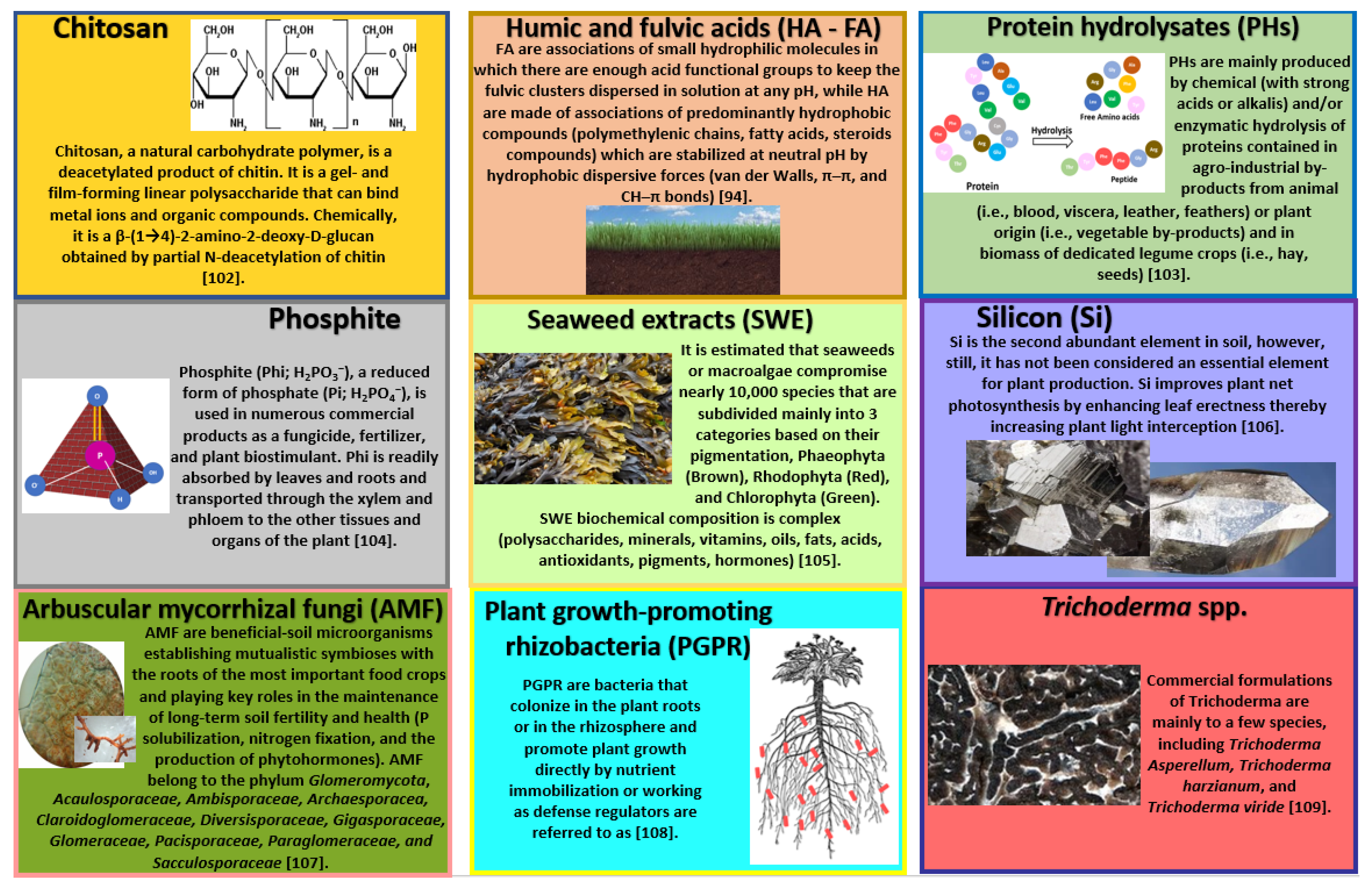 Plants 11 00162 g002