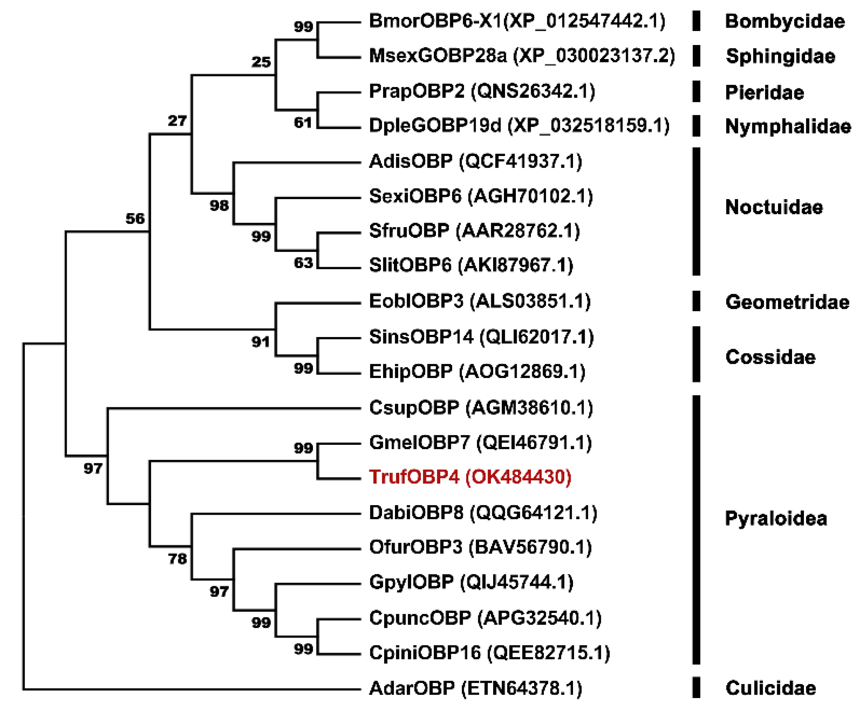 Plants 11 00167 g004
