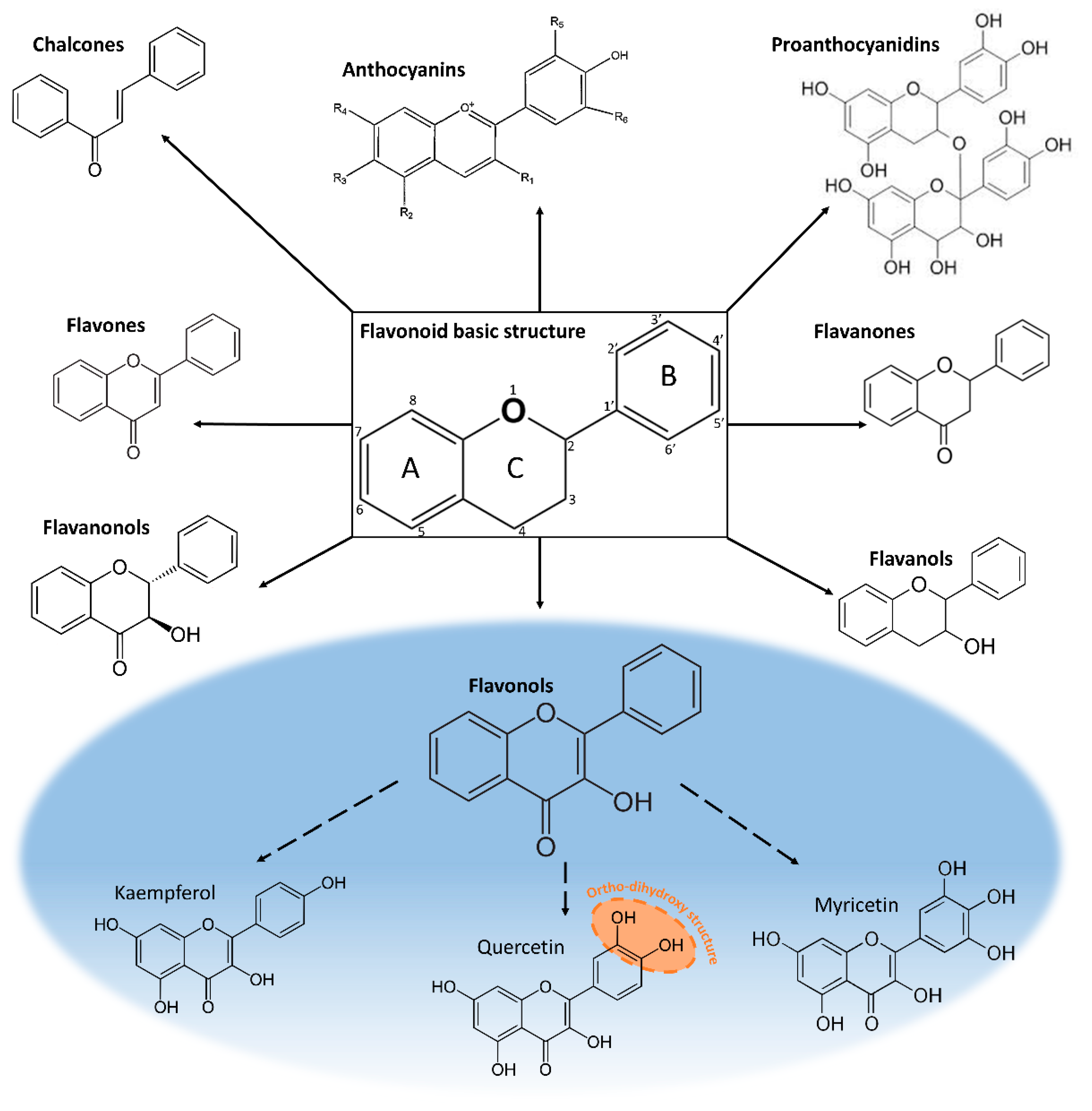 Plants 11 00172 g001