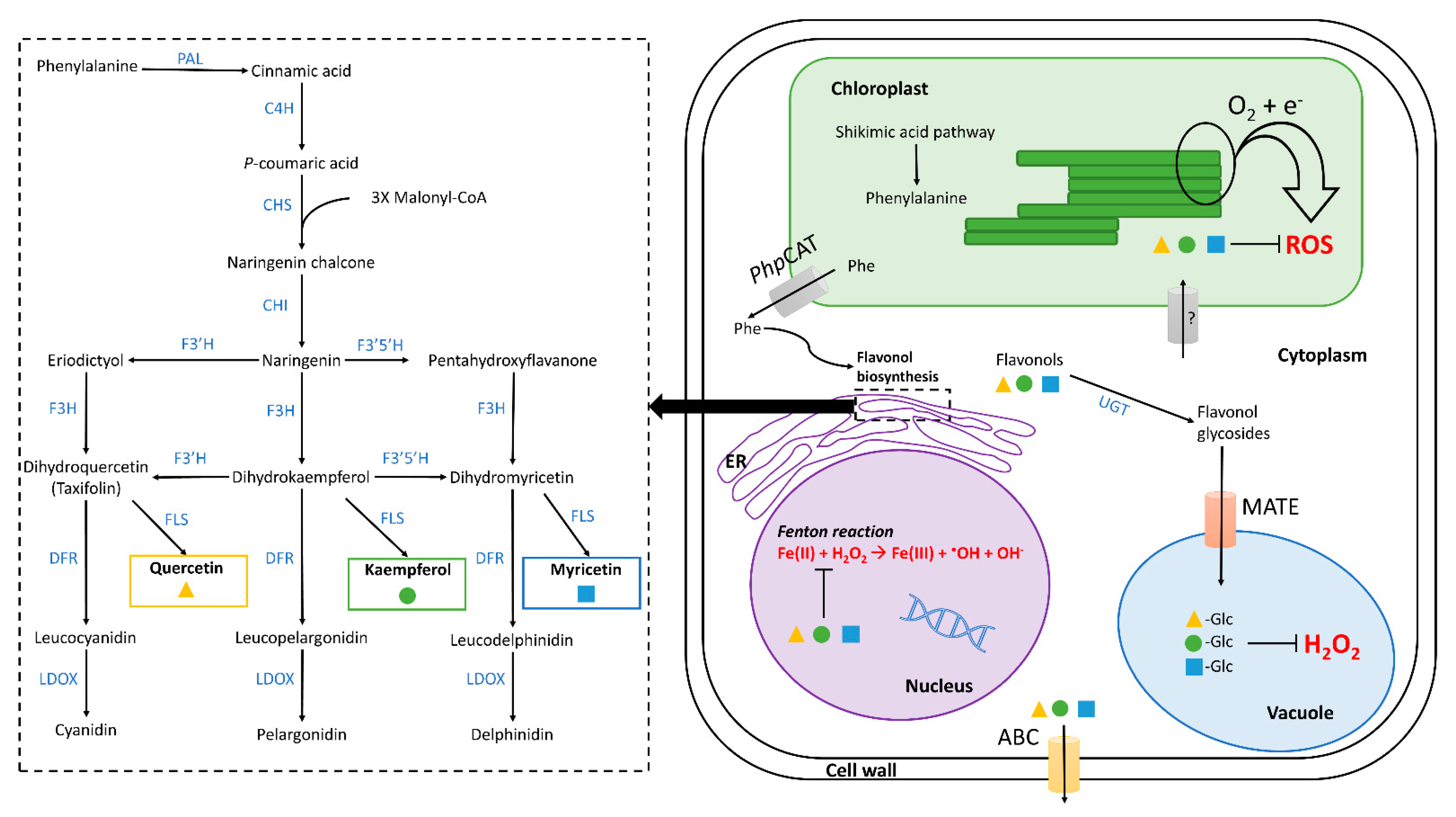 Plants 11 00172 g002