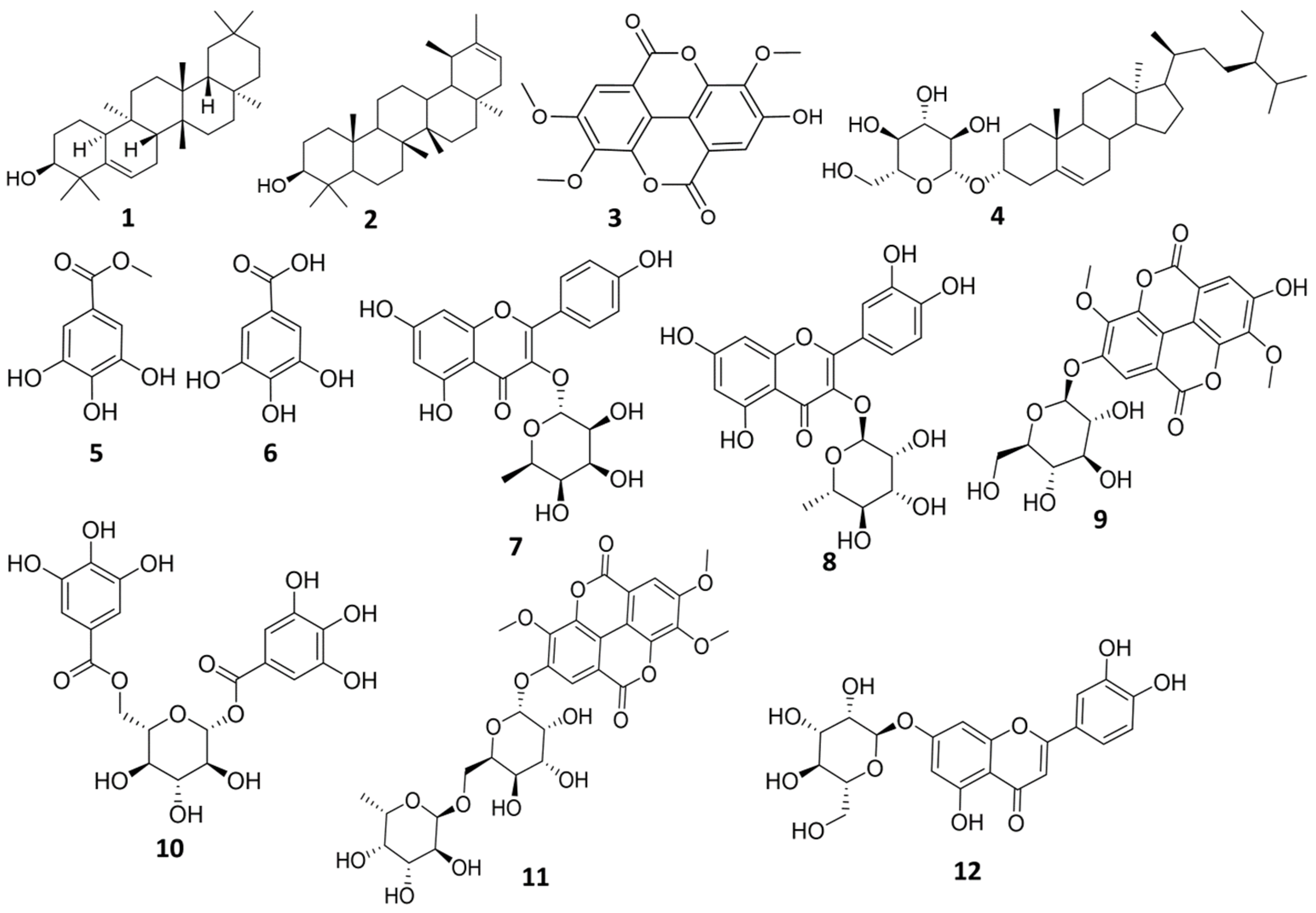 Plants 11 00173 g001 Plants 11 00173 g001