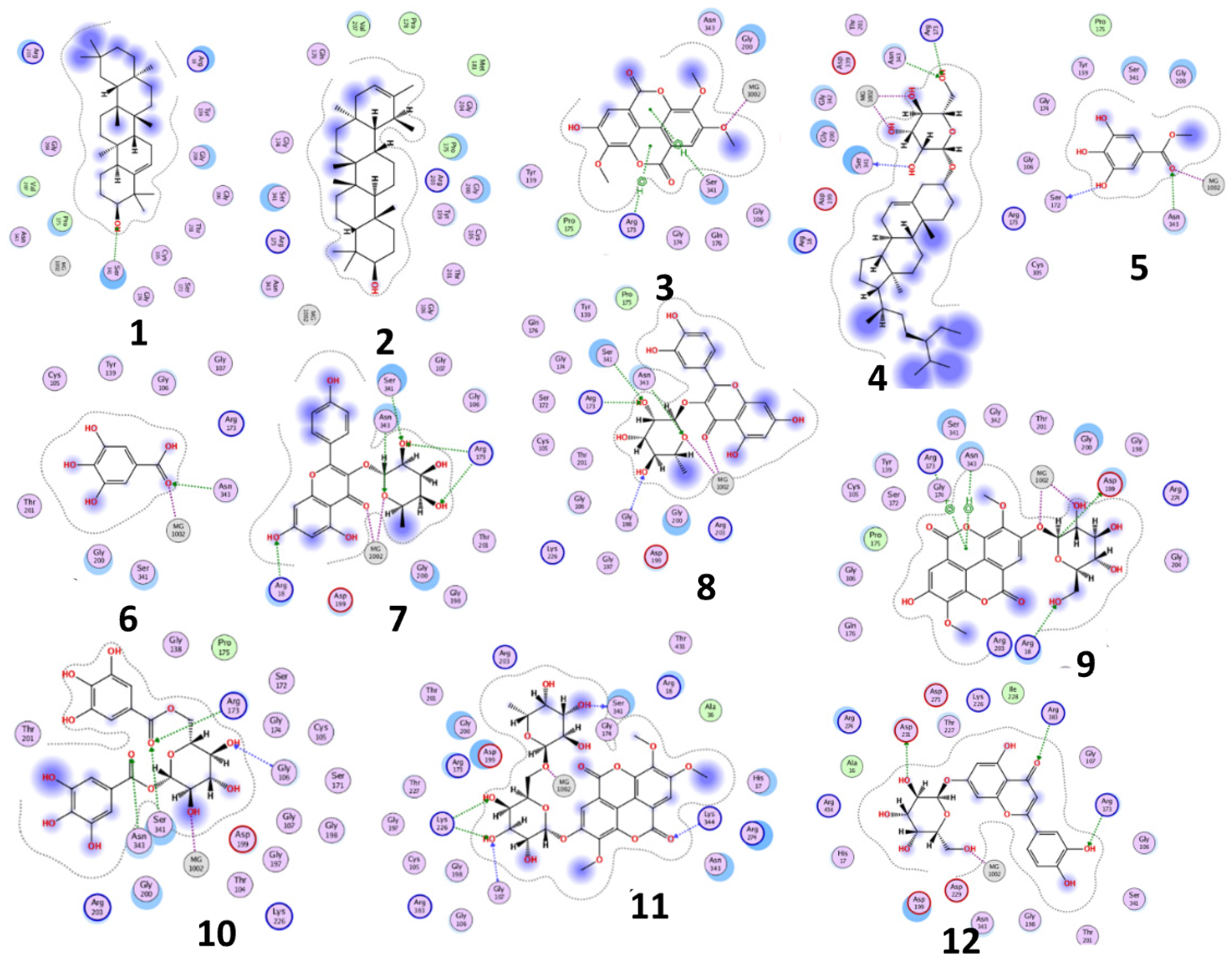 Plants 11 00173 g002 Plants 11 00173 g002