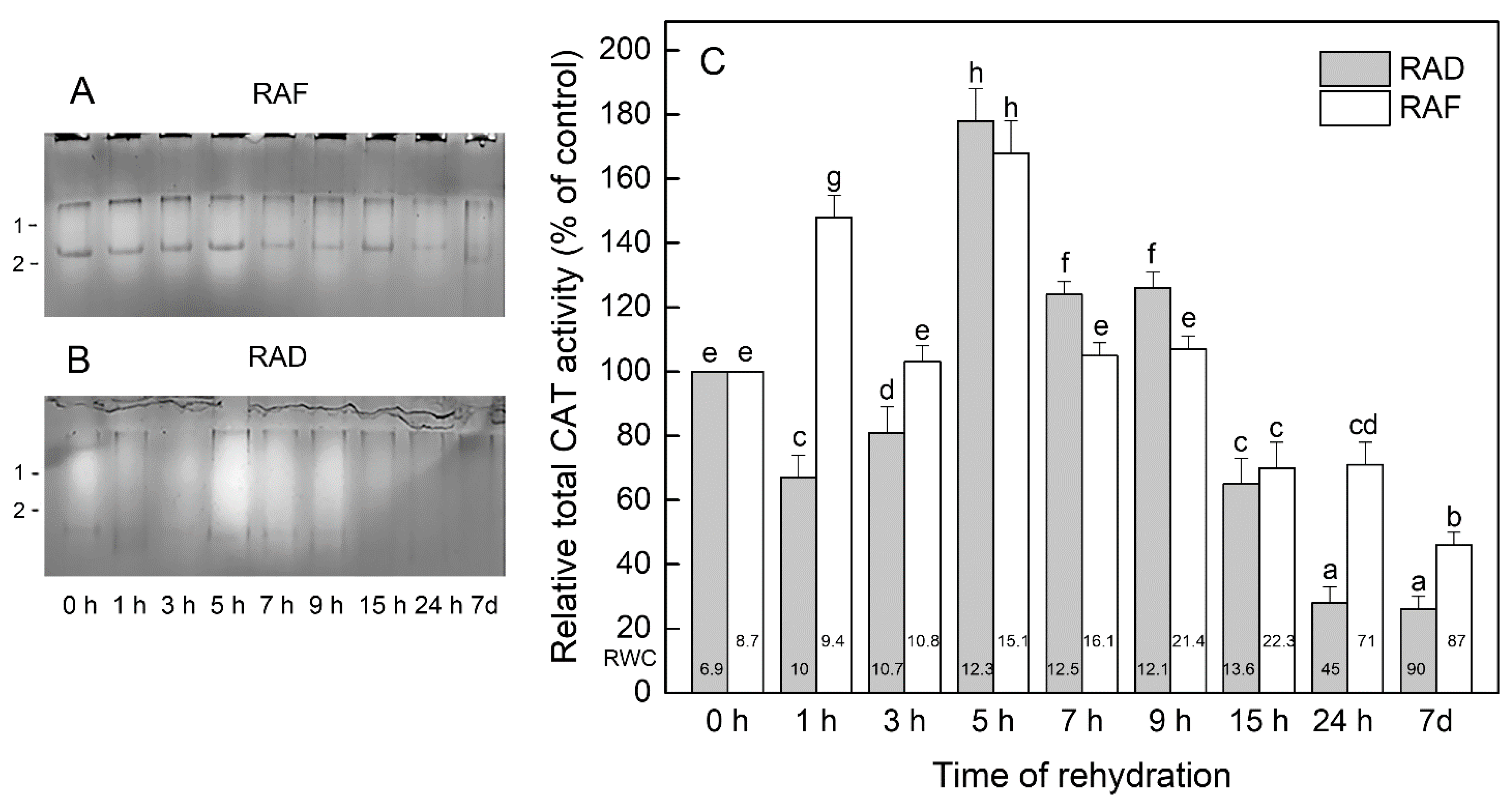 Plants 11 00175 g004